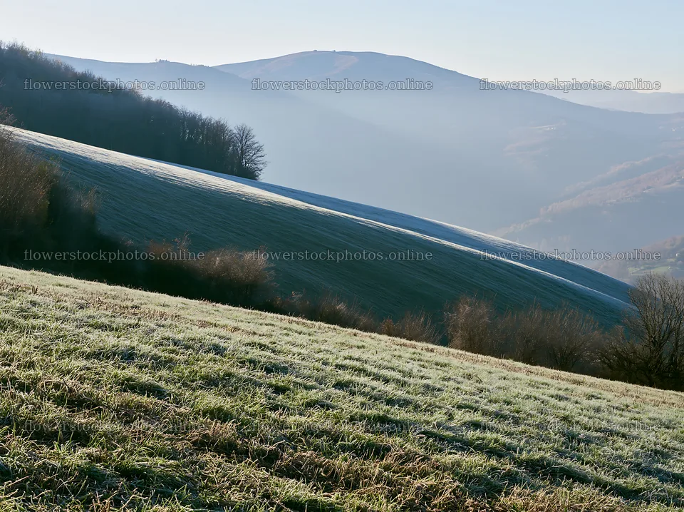 Frost-covered meadow in hilly landscape during morning light – flower stock photos 9174x6866