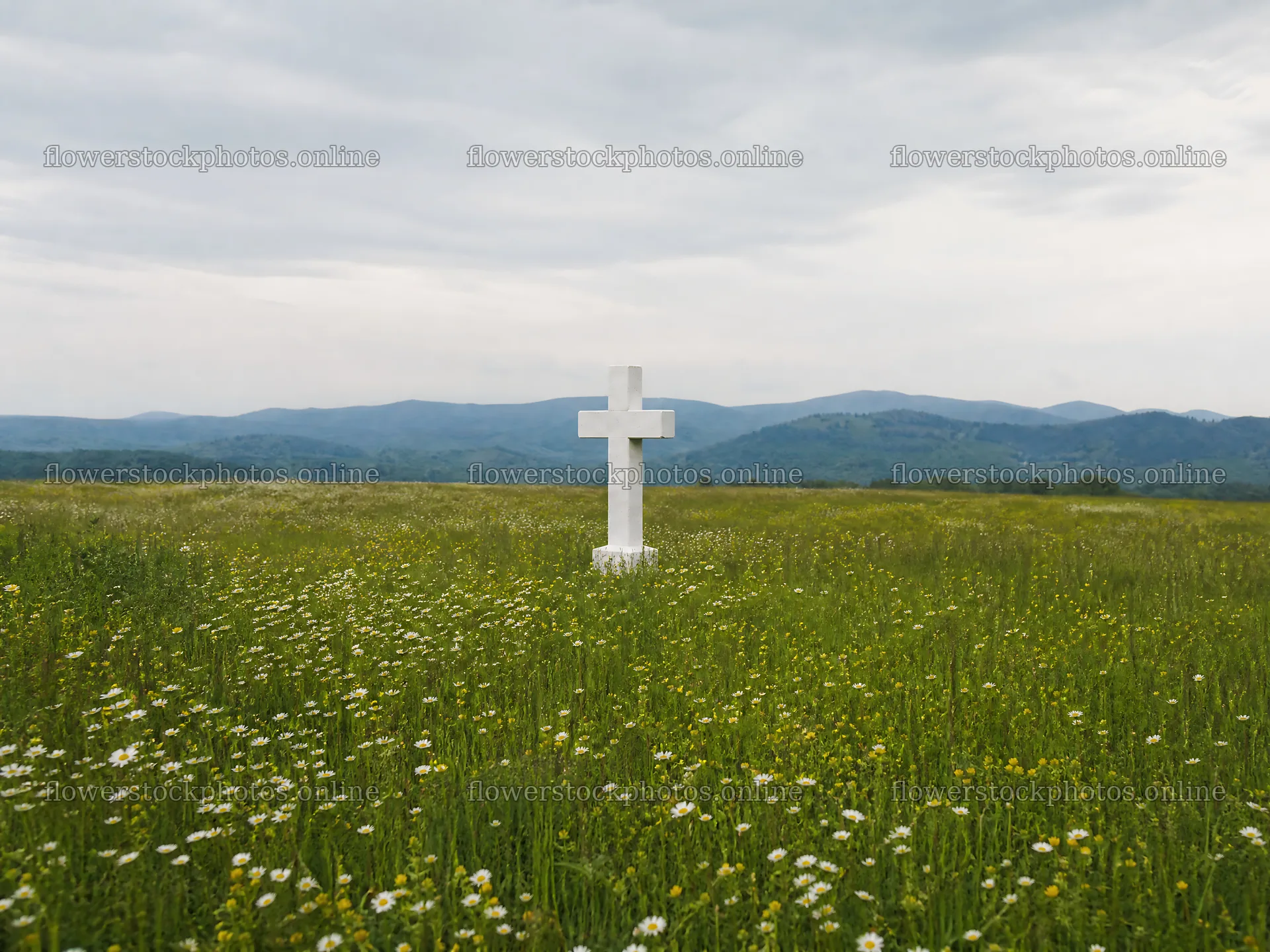 Marble Christian cross in a meadow with mountains in the background – flower stock photos 9166x6874