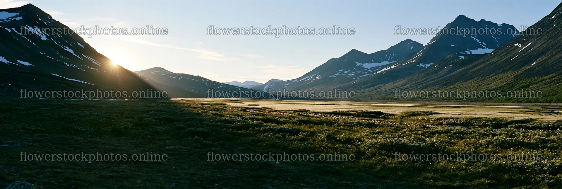 Jotunheimen valley meadow with sunbeams at sunset – flower stock photos 13690x4602