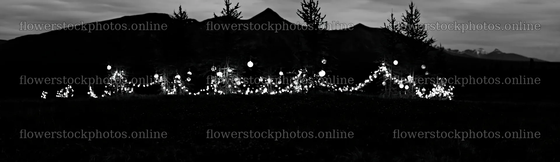 Vibrant Christmas lights glowing at dusk in meadow – flower stock photos 14762x4268