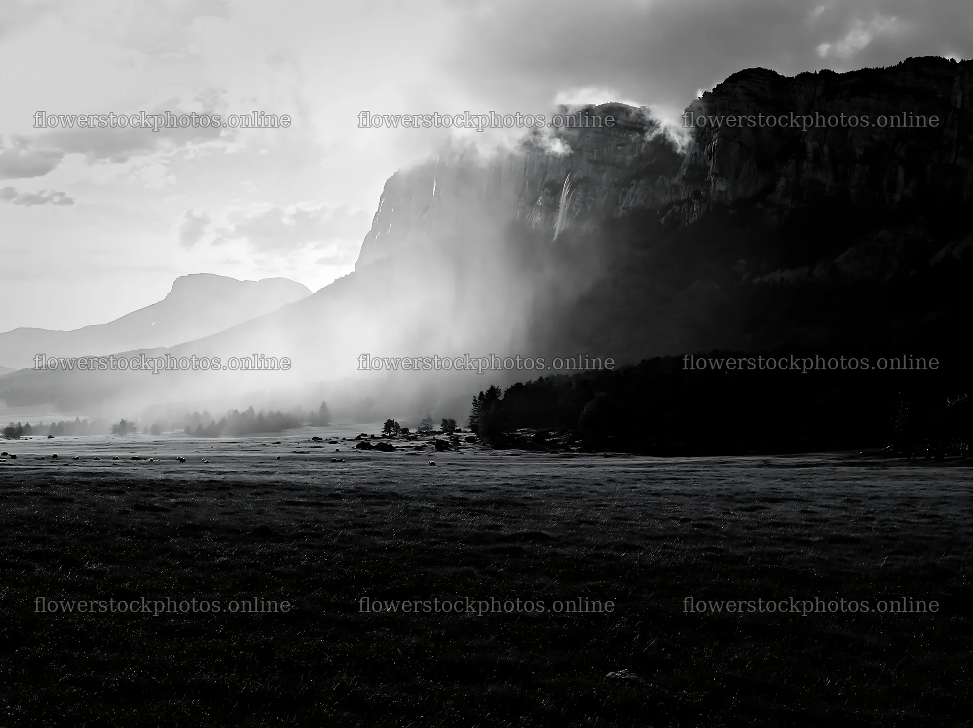Meadow beneath crags with mist during late afternoon – flower stock photos 9174x6866
