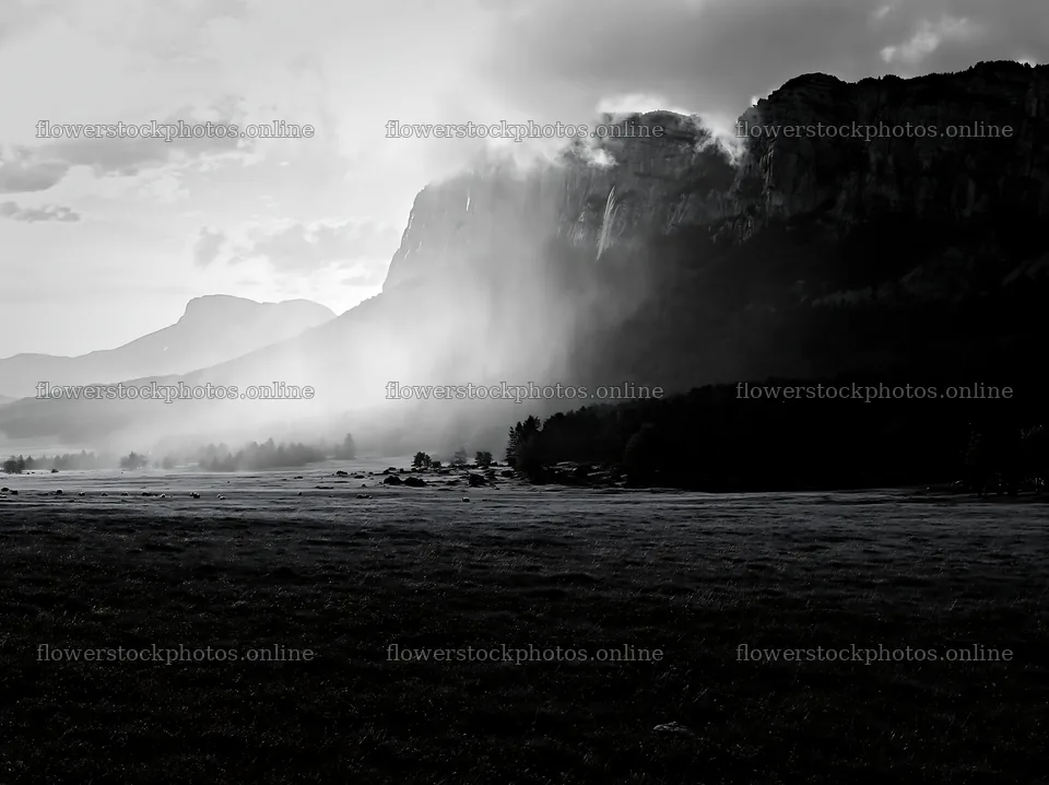 Meadow beneath crags with mist during late afternoon – flower stock photos 9174x6866