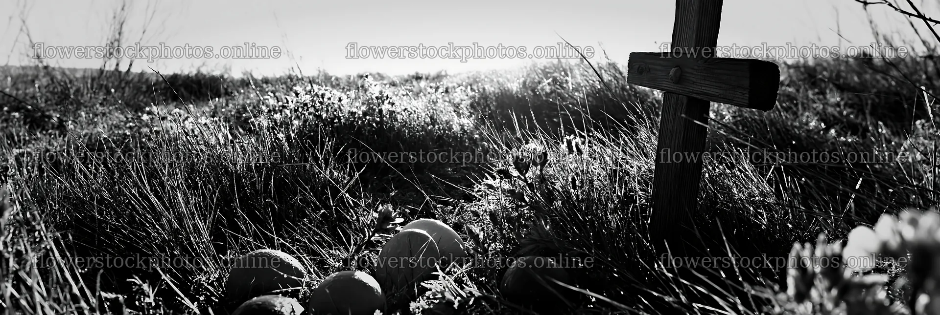 Christian cross in morning meadow with grass and stones – flower stock photos 13690x4602