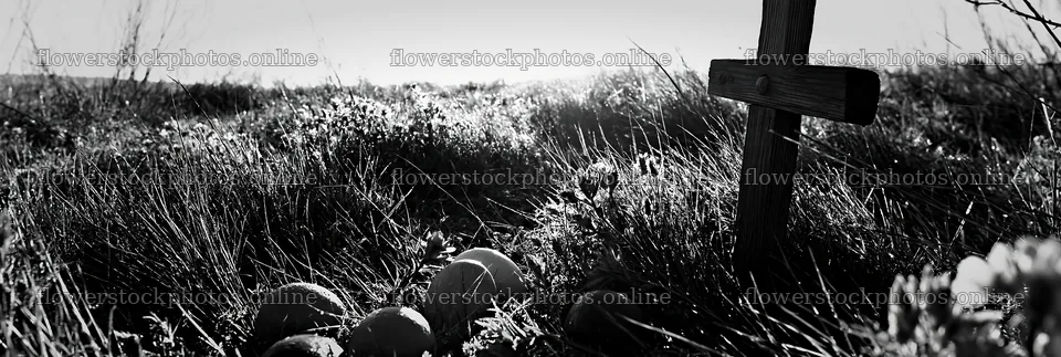 Christian cross in morning meadow with grass and stones – flower stock photos 13690x4602