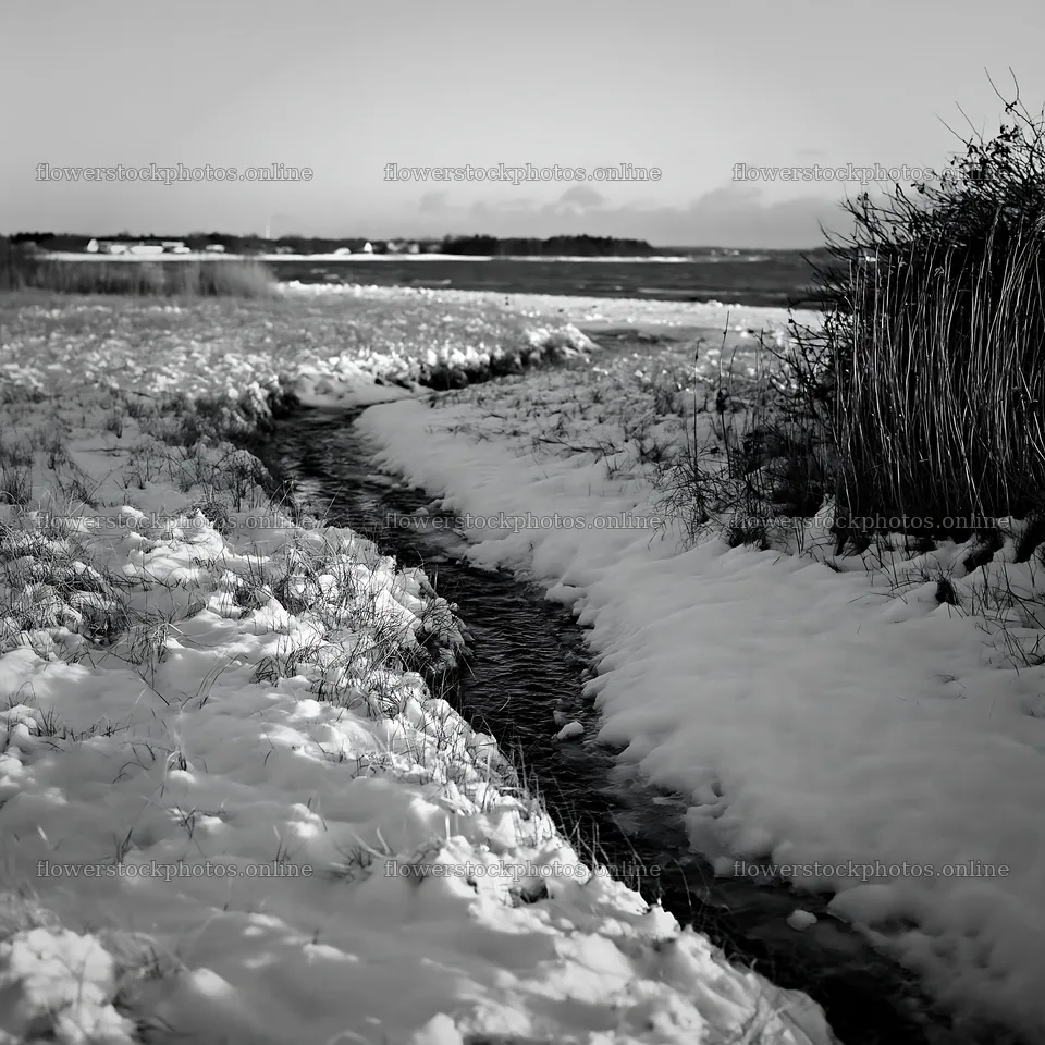 Snowy beach meadow with waterway in winter landscape – flower stock photos 7938x7938