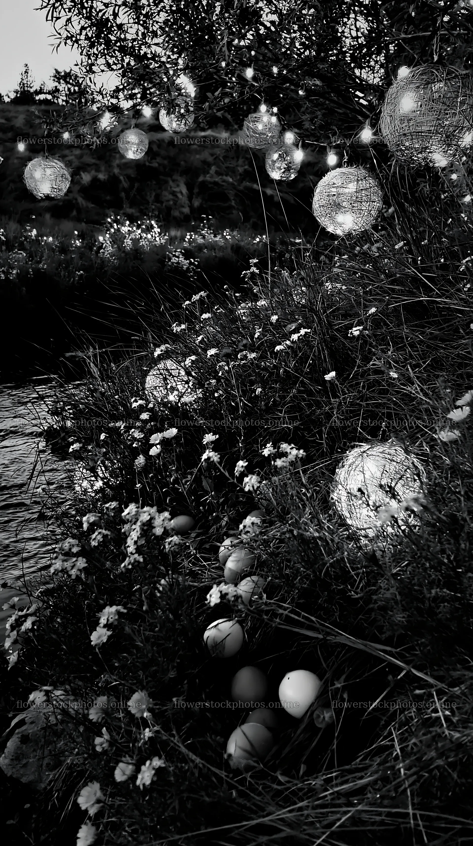 Christmas lanterns at dusk beside stream in meadow – flower stock photos 5938x10608