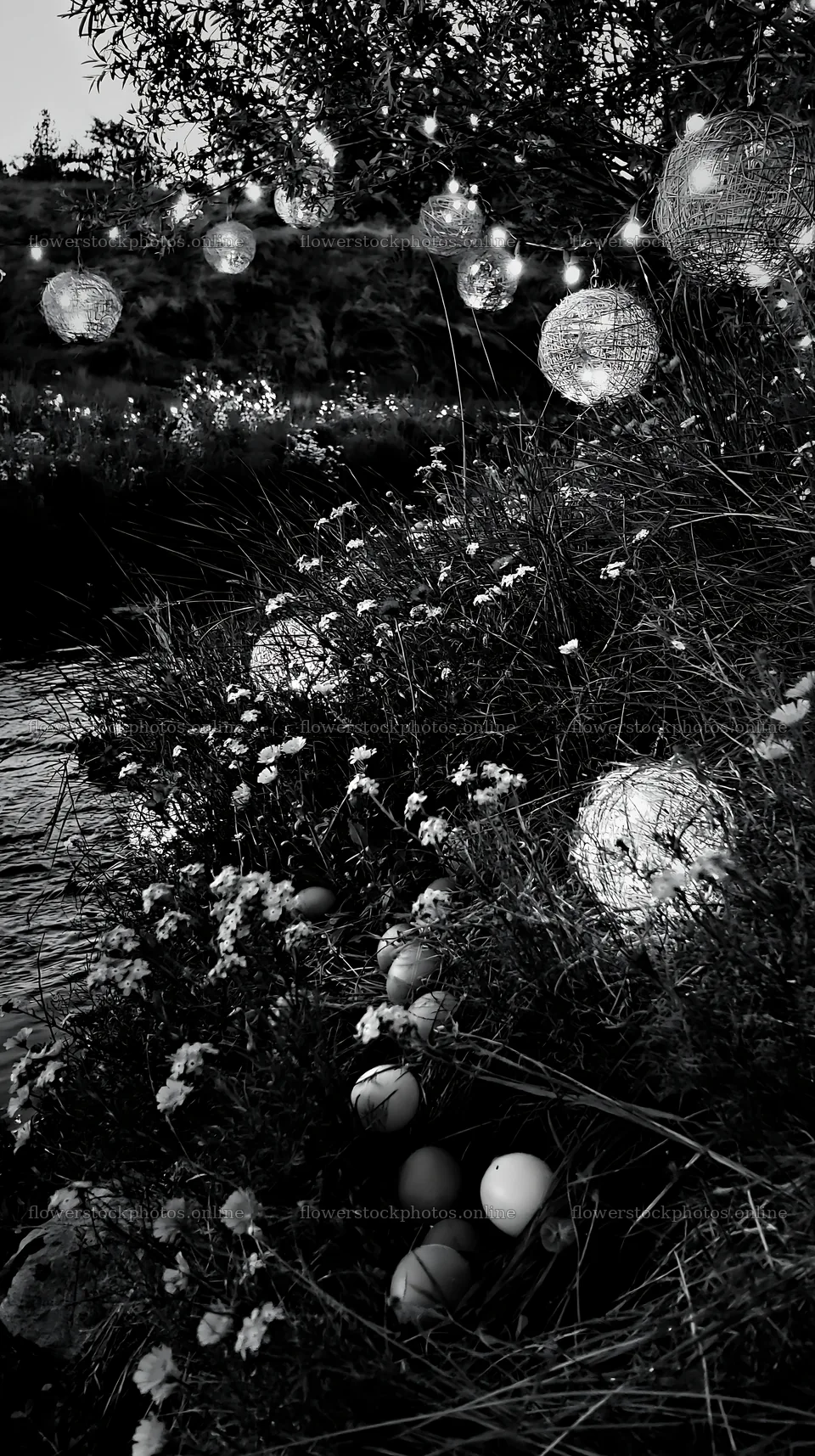 Christmas lanterns at dusk beside stream in meadow – flower stock photos 5938x10608