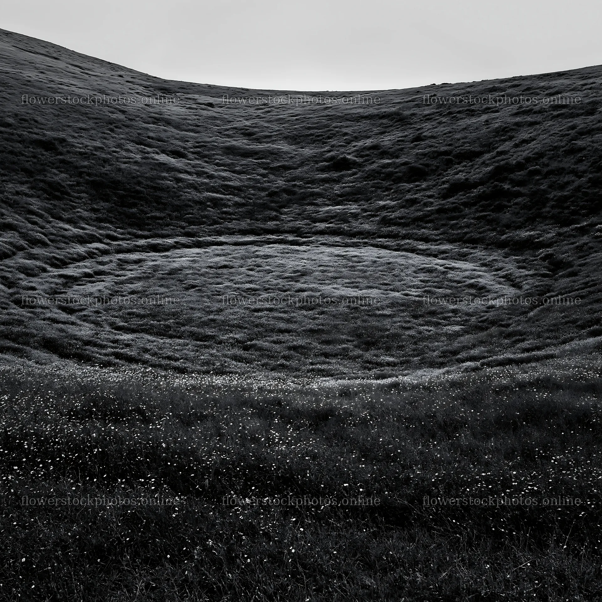 Cloudy foothill meadow with a circular patch of grass – flower stock photos 7938x7938