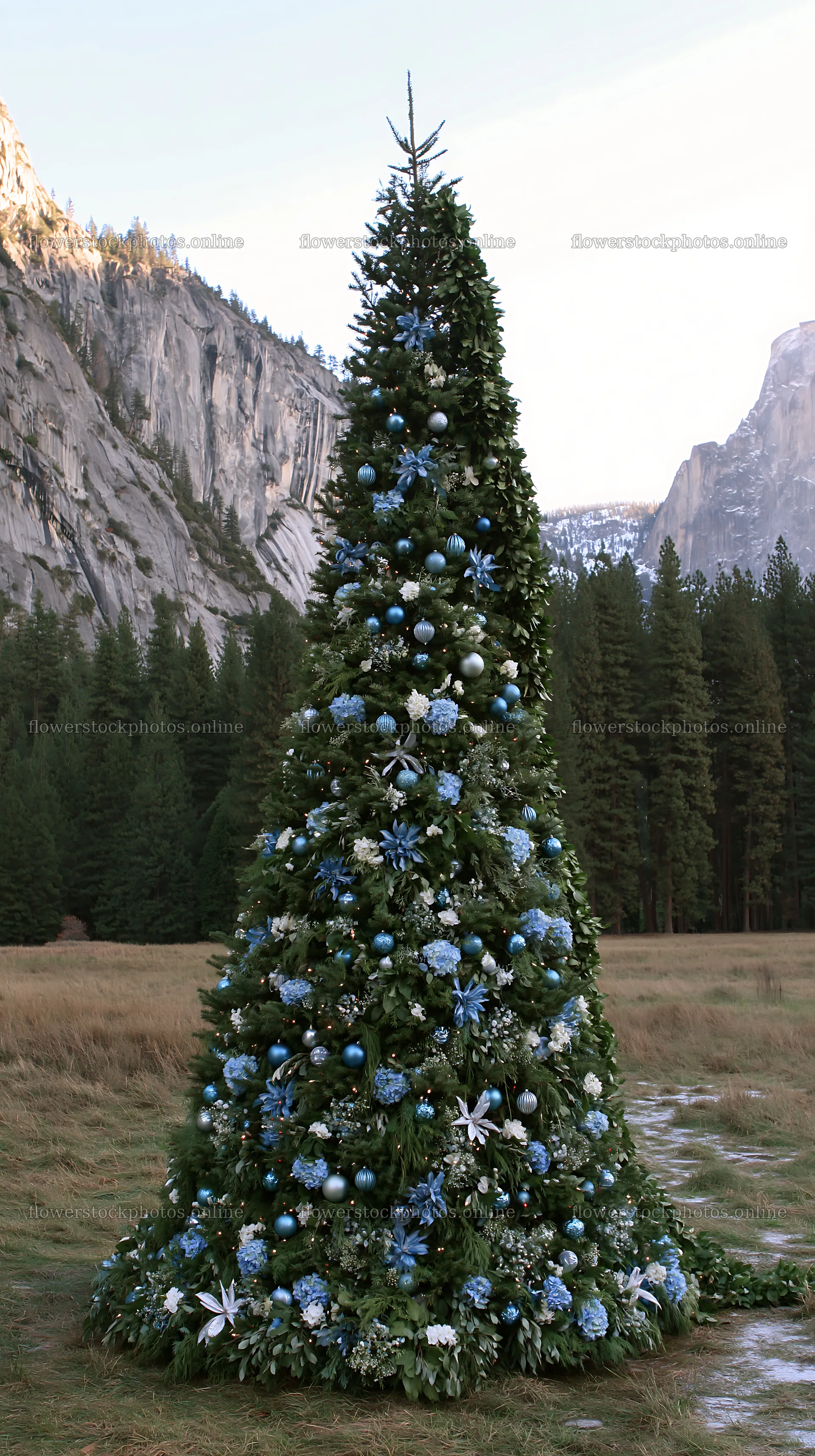 Christmas tree with ornaments in valley meadow – flower stock photos 5938x10608