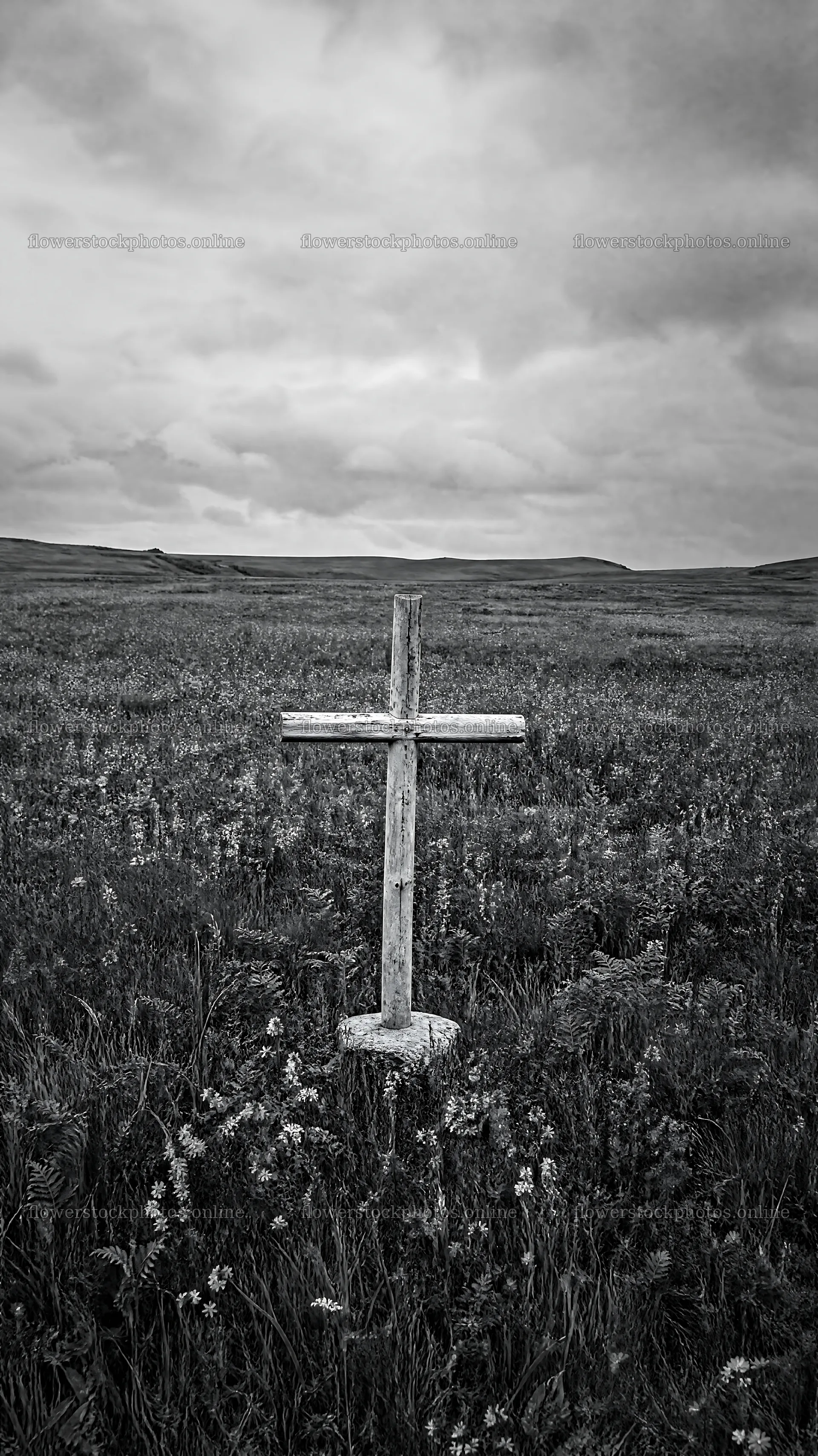 Rustic Christian cross in spring meadow under cloudy sky – flower stock photos 5952x10584