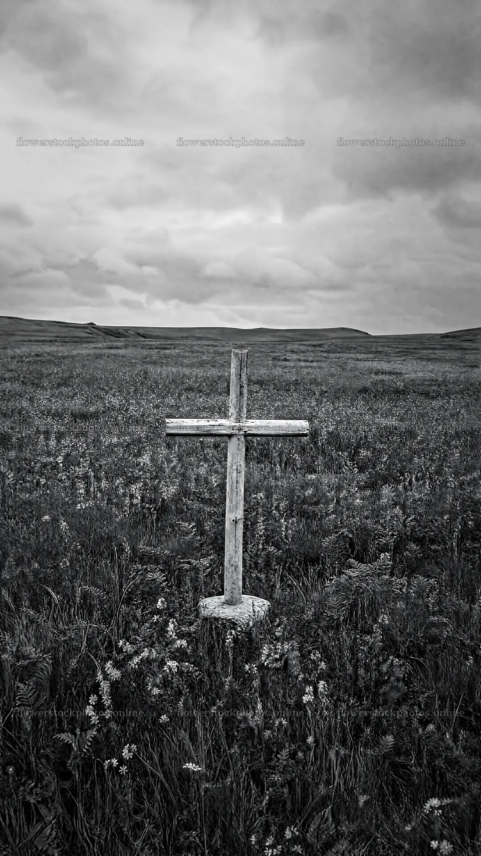 Rustic Christian cross in spring meadow under cloudy sky – flower stock photos 5952x10584