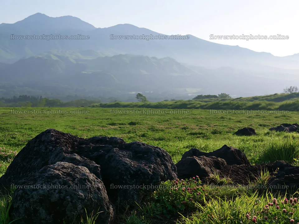Kumamoto volcanic meadow with dark rocks and distant mountains – flower stock photos 9174x6866