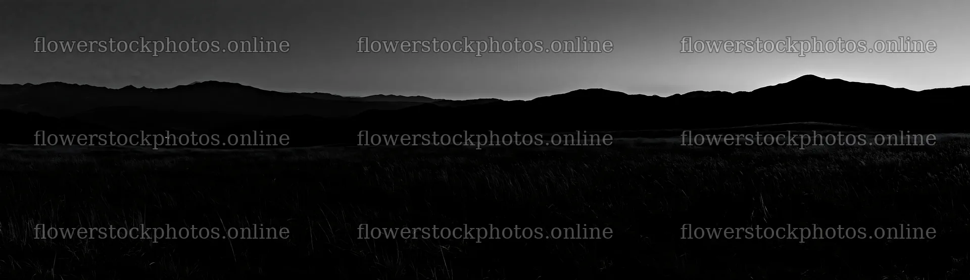 Fukushima native meadow with weathered stump – flower stock photos 14762x4268