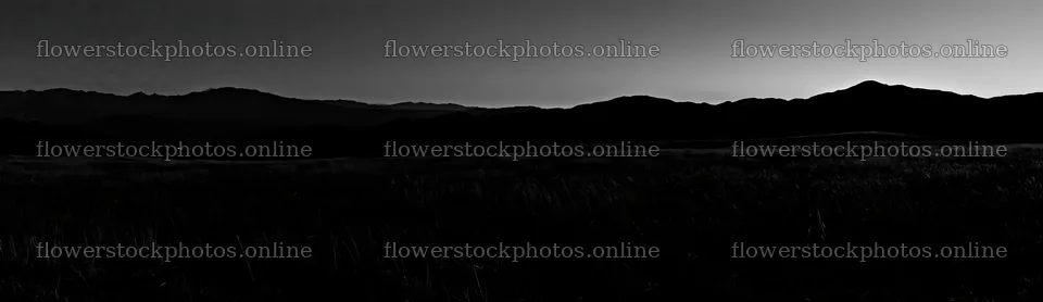Fukushima native meadow with weathered stump – flower stock photos 14762x4268