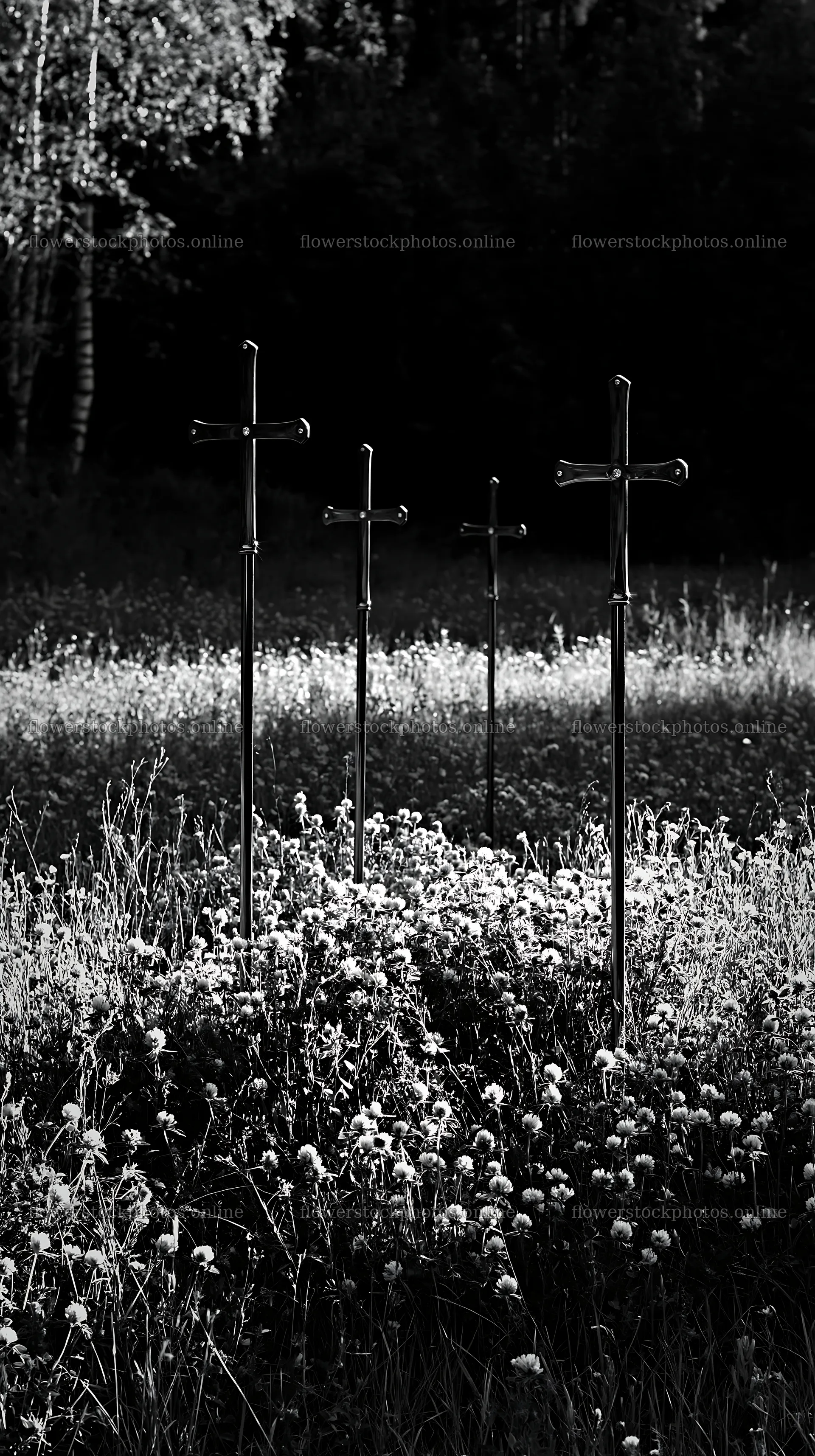 Christian crosses in meadow during daylight – flower stock photos 5938x10608