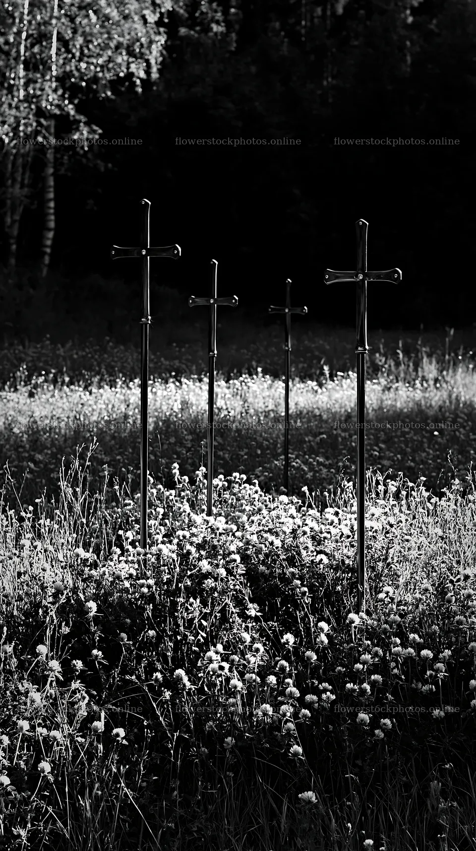 Christian crosses in meadow during daylight – flower stock photos 5938x10608