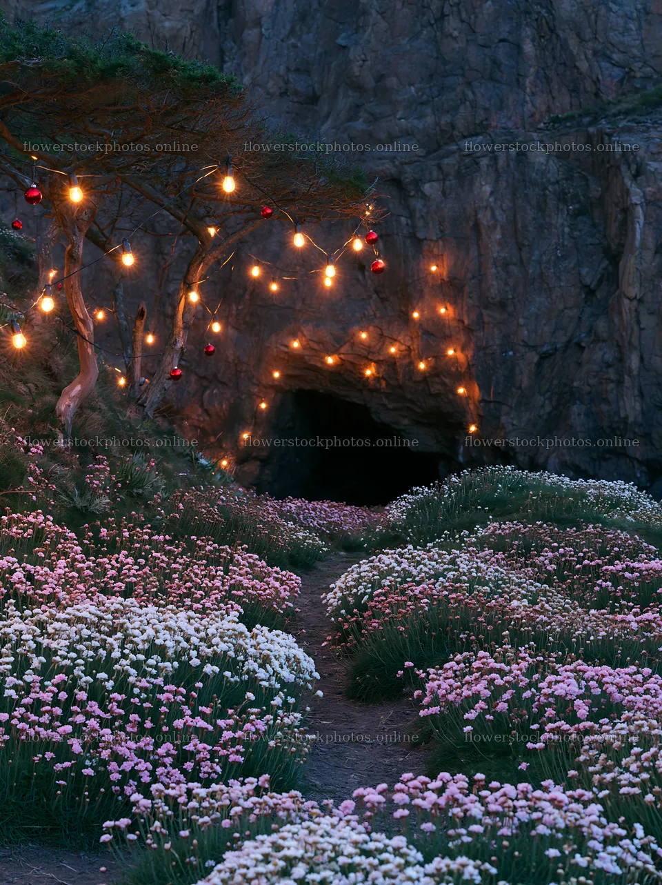 Christmas lights near cave in meadow with flowers – flower stock photos 6866x9174
