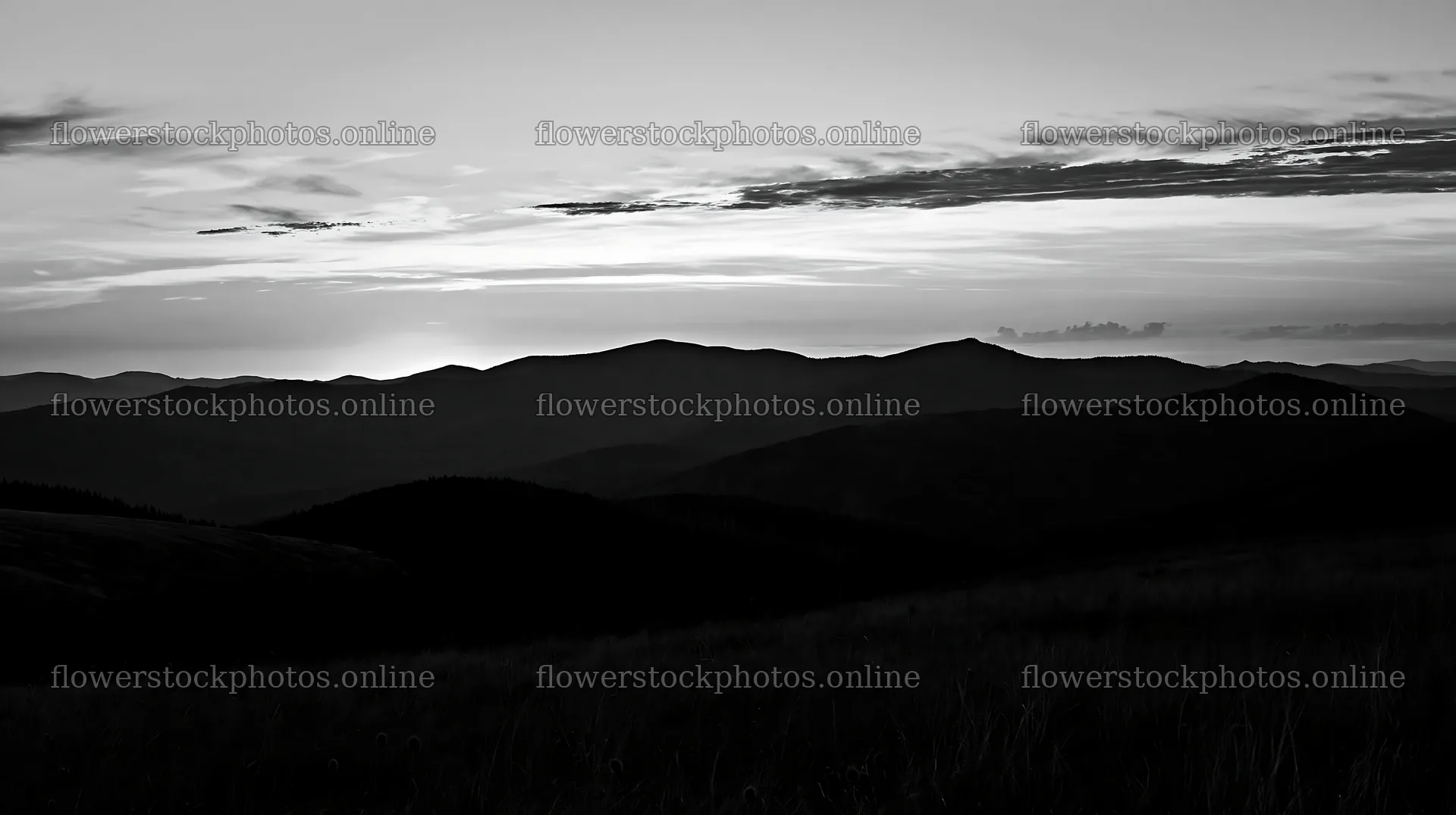 Silhouette of mountains at dusk in a regenerative meadow – flower stock photos 10608x5938