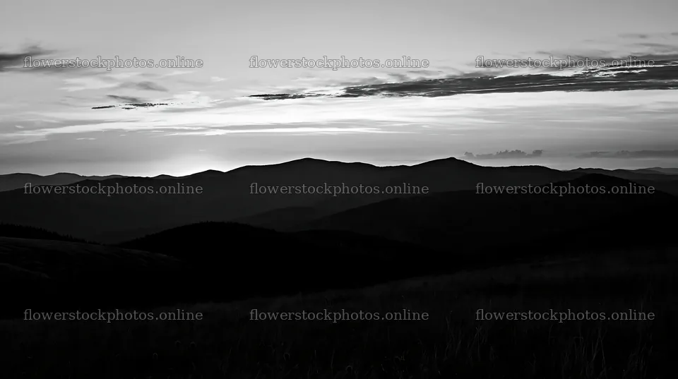 Silhouette of mountains at dusk in a regenerative meadow – flower stock photos 10608x5938