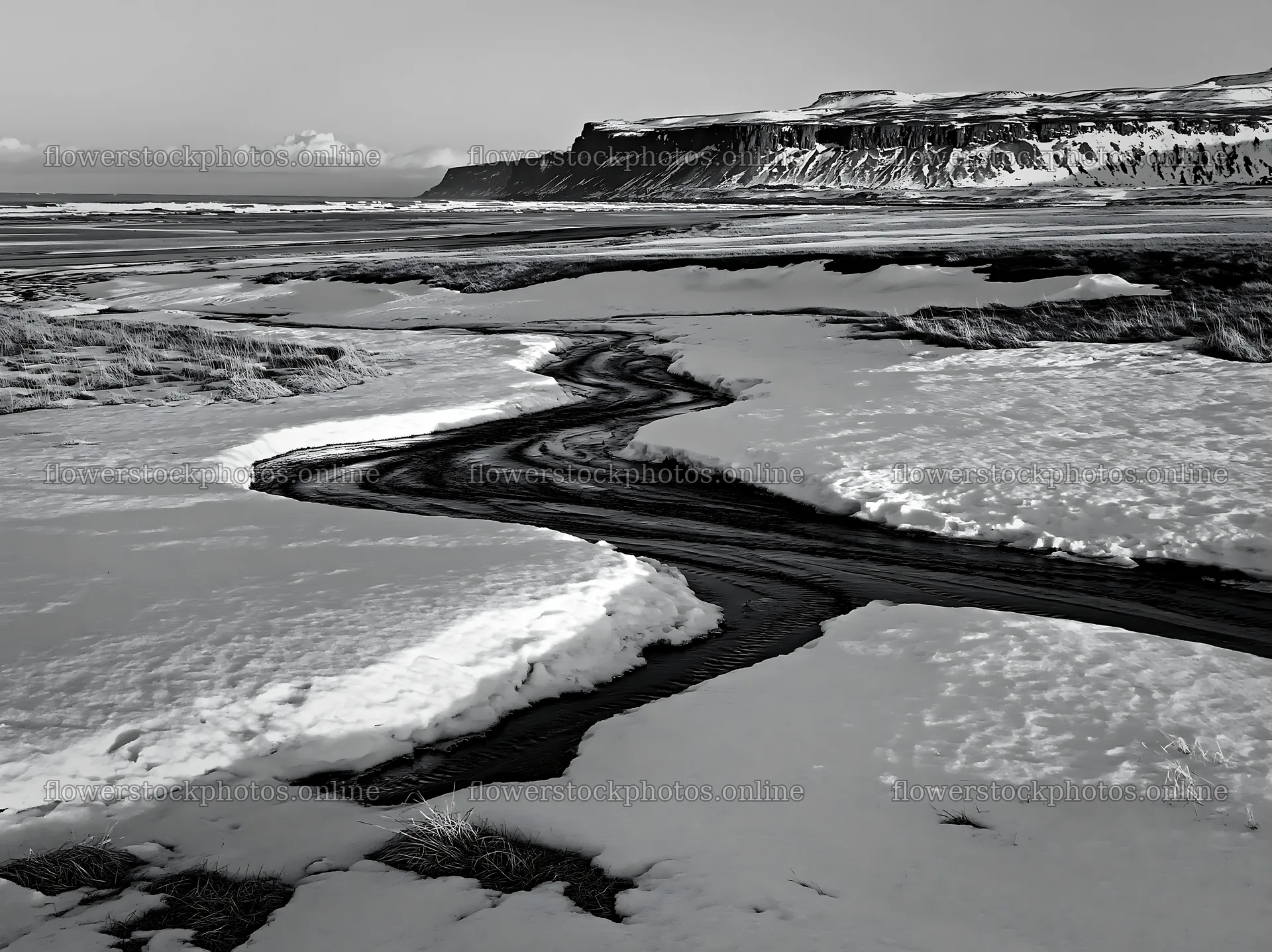 Snowbound meadow with winding waterway in Iceland – flower stock photos 9174x6866