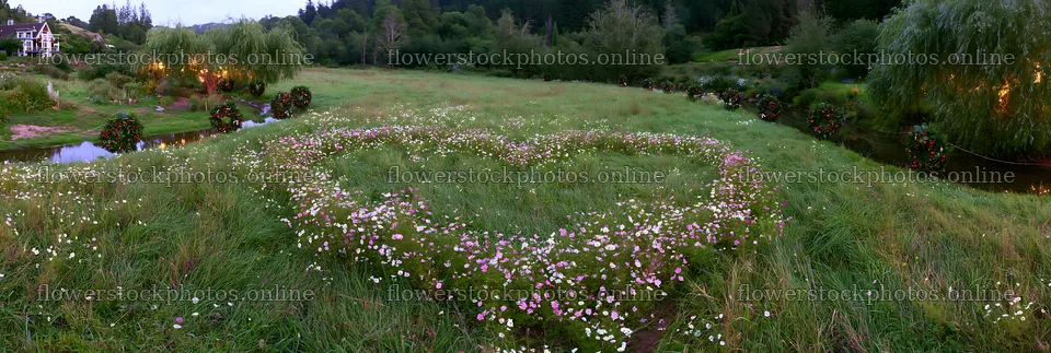 Christmas wreaths beside stream in meadow – flower stock photos 13690x4602
