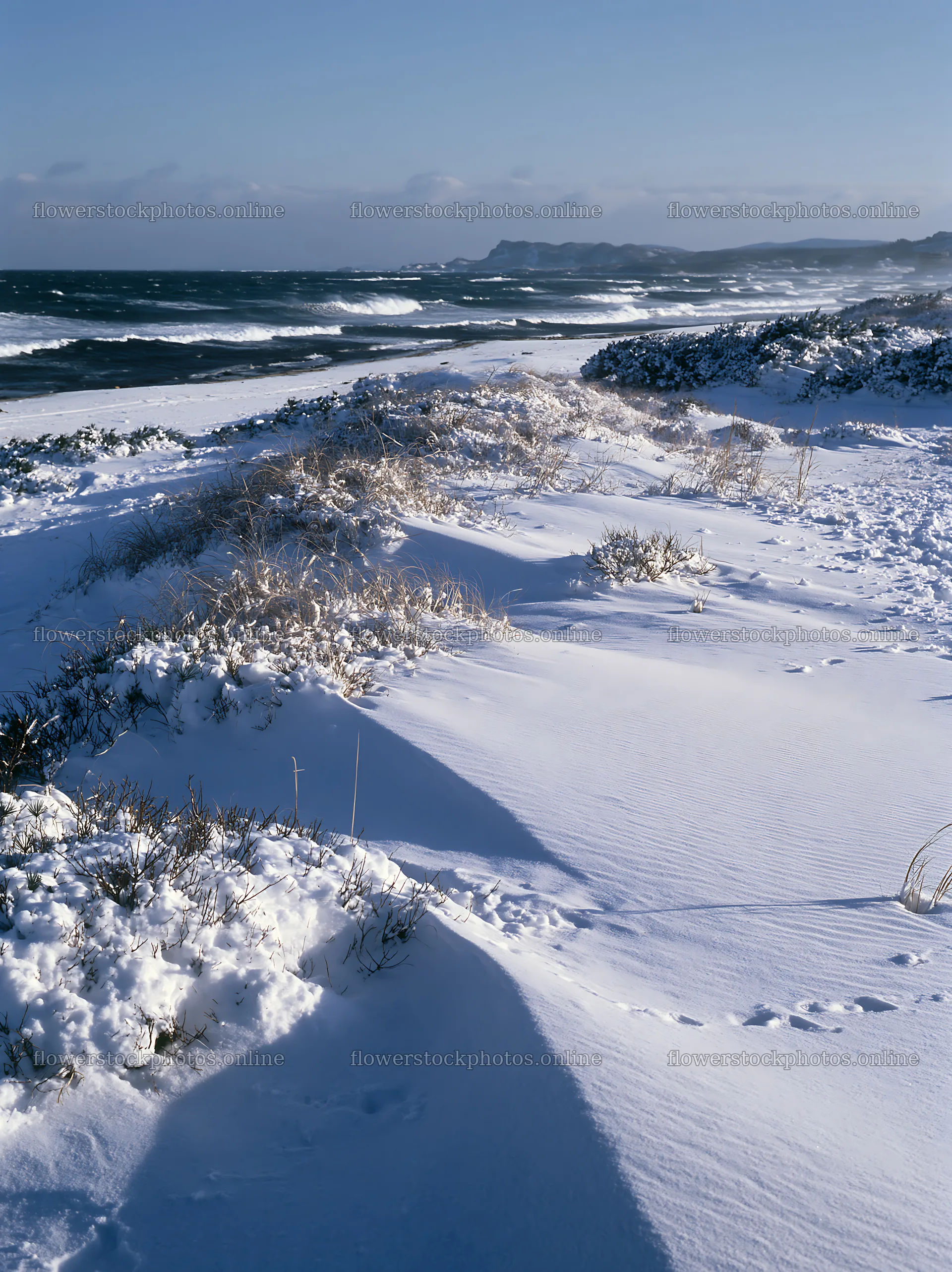 Snowy beach meadow with waves and distant hills in winter – flower stock photos 6866x9174