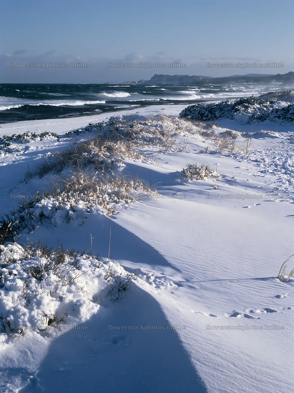 Snowy beach meadow with waves and distant hills in winter – flower stock photos 6866x9174