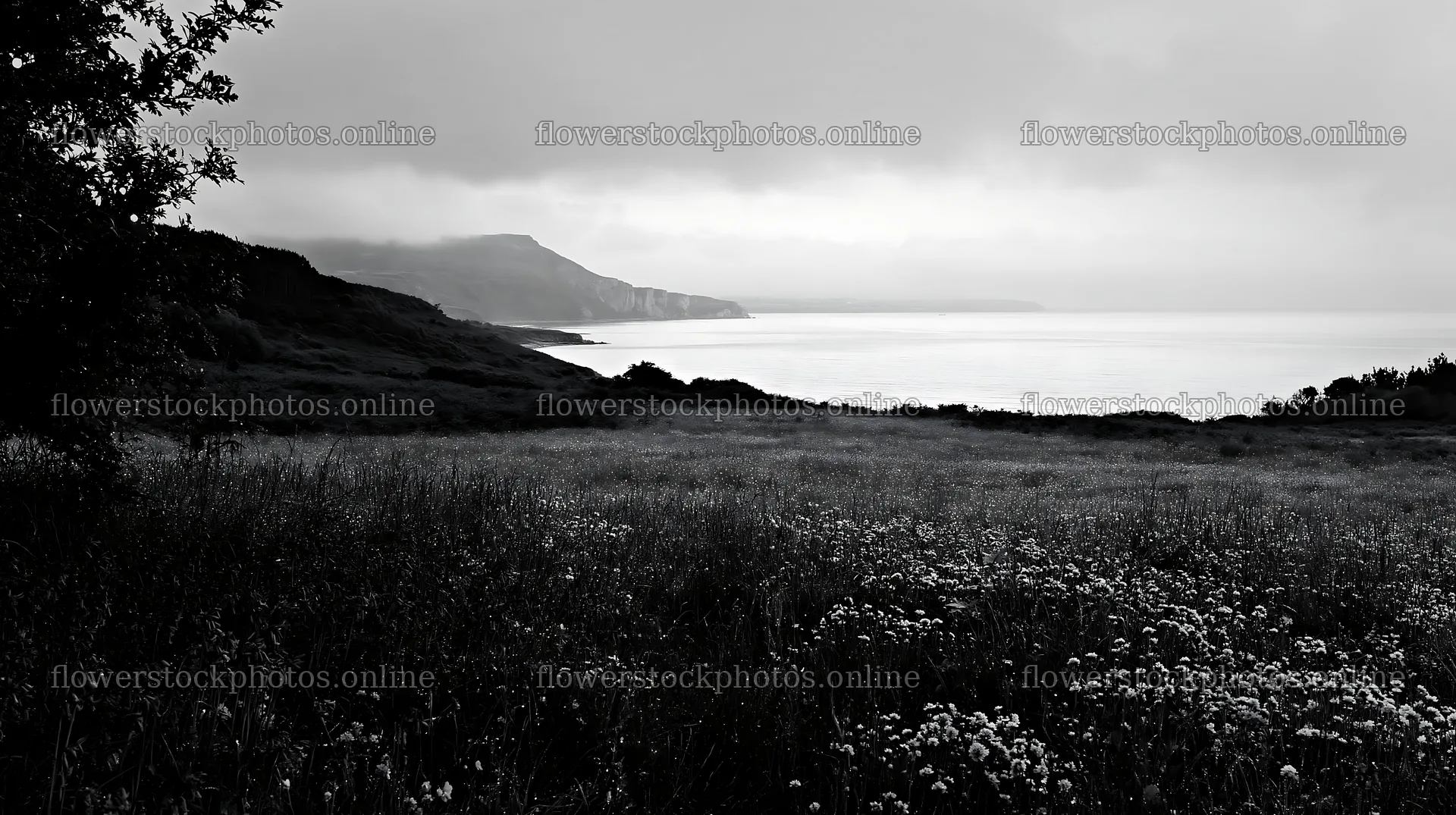 Wide Christmas meadow with native flowers and fairy lights – flower stock photos 10608x5938