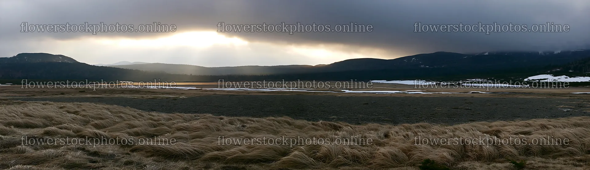 Daisetsuzan alpine meadow with light rays and rolling grass – flower stock photos 14762x4268