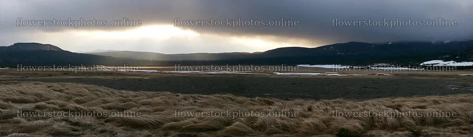 Daisetsuzan alpine meadow with light rays and rolling grass – flower stock photos 14762x4268