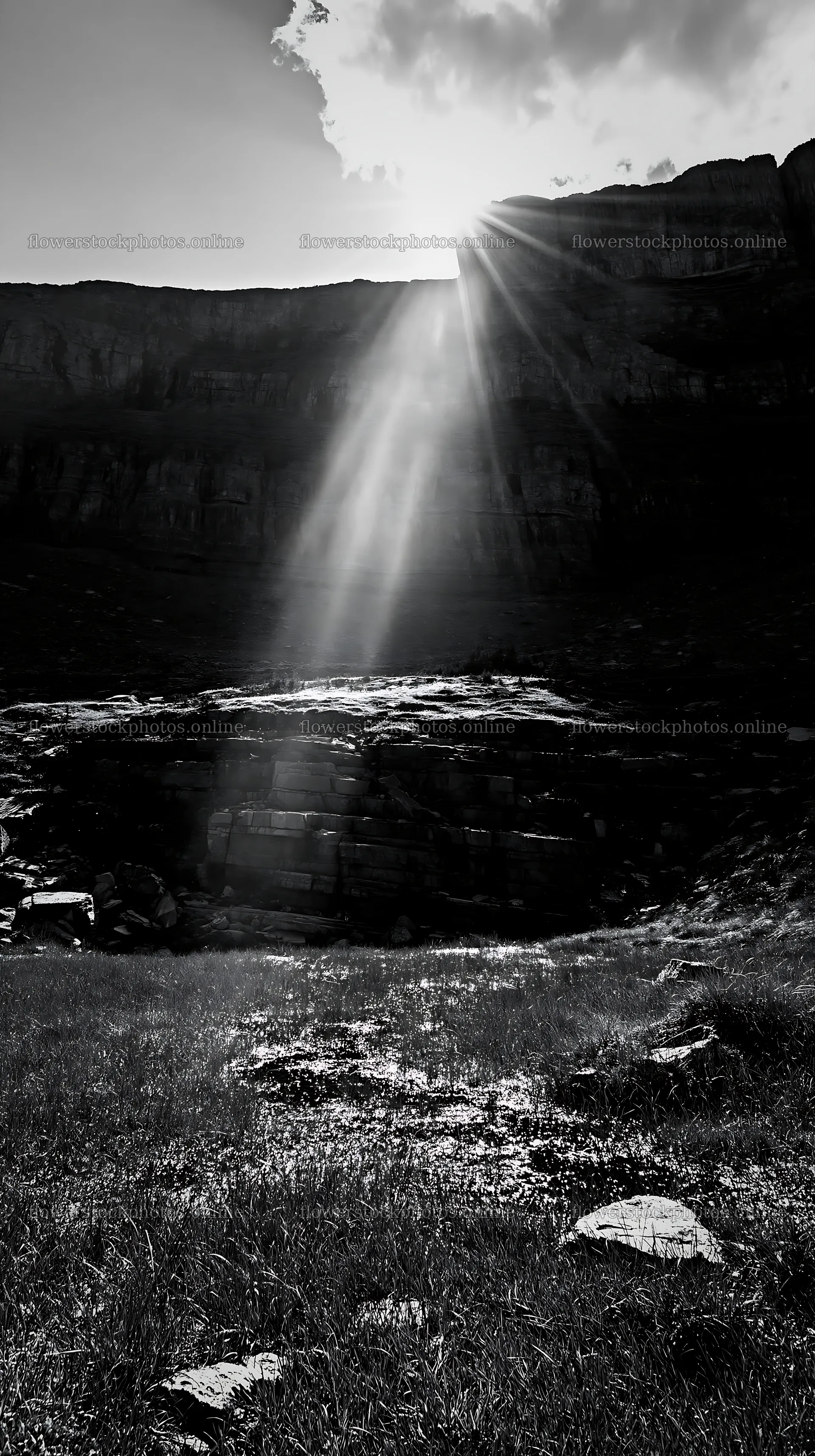 Light rays shine over Sunshine Meadows in Banff National Park – flower stock photos 5938x10608