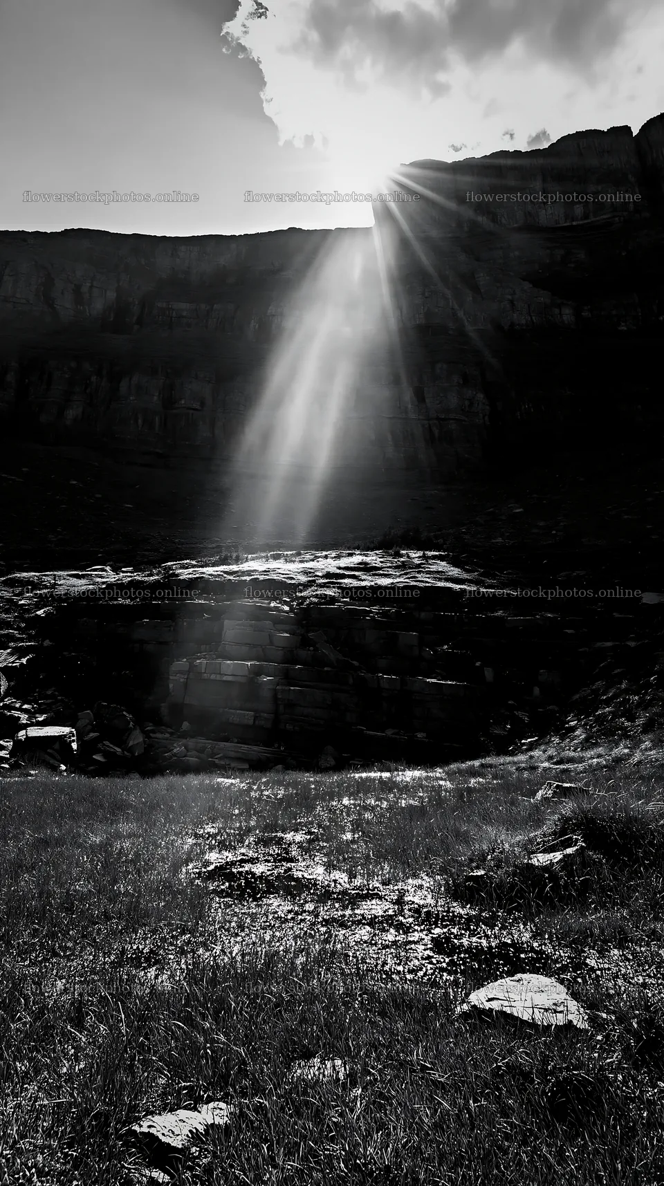 Light rays shine over Sunshine Meadows in Banff National Park – flower stock photos 5938x10608