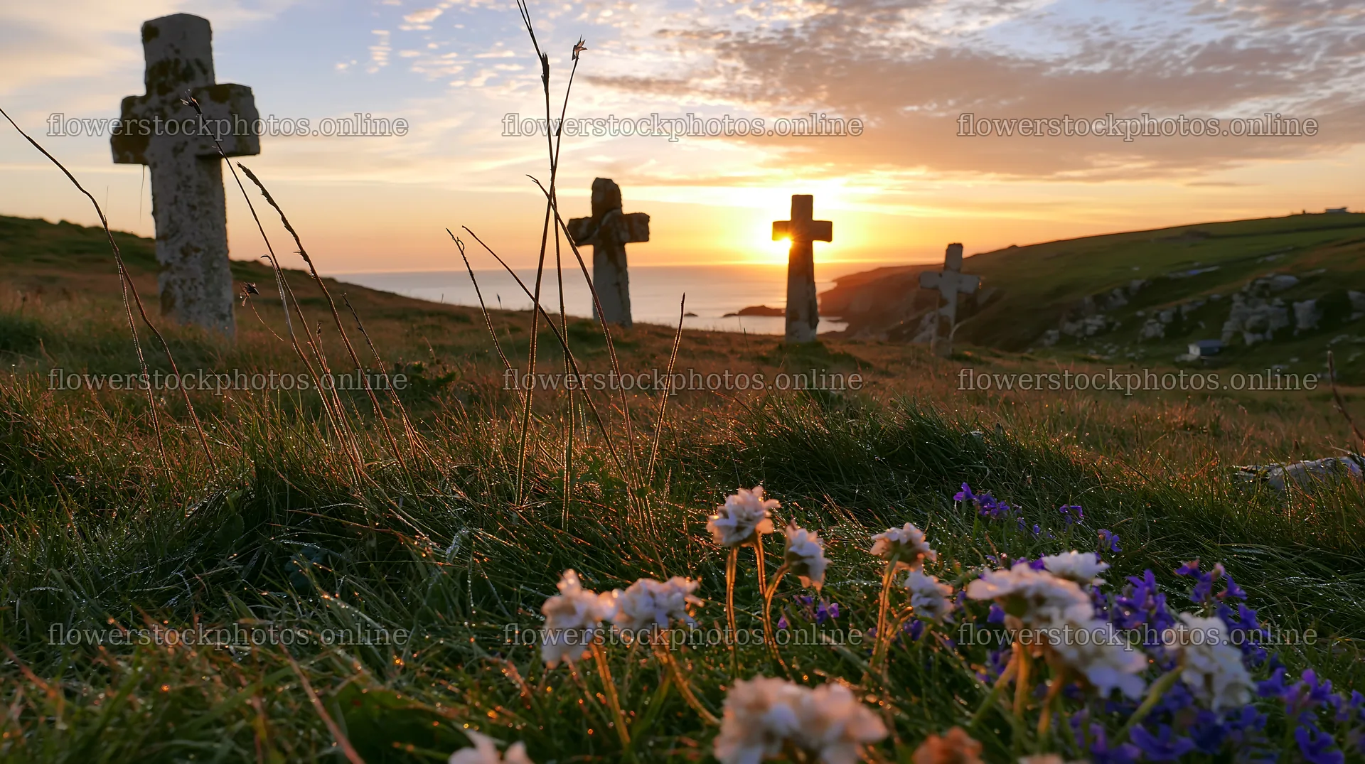 Three Christian crosses at sunrise in a meadow – flower stock photos 10608x5938
