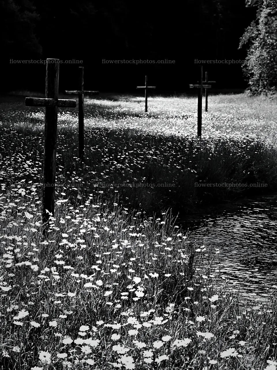 Crosses beside mineral spring meadow with flowers – flower stock photos 6866x9174