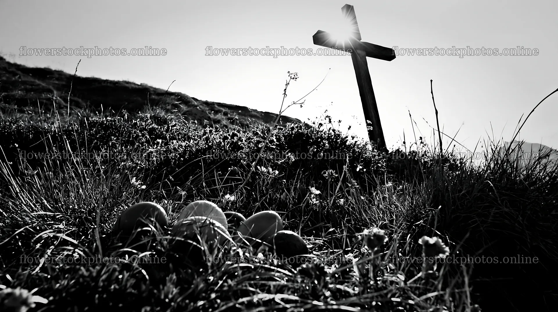 Christian cross in backlit summer meadow at sunset – flower stock photos 10608x5938