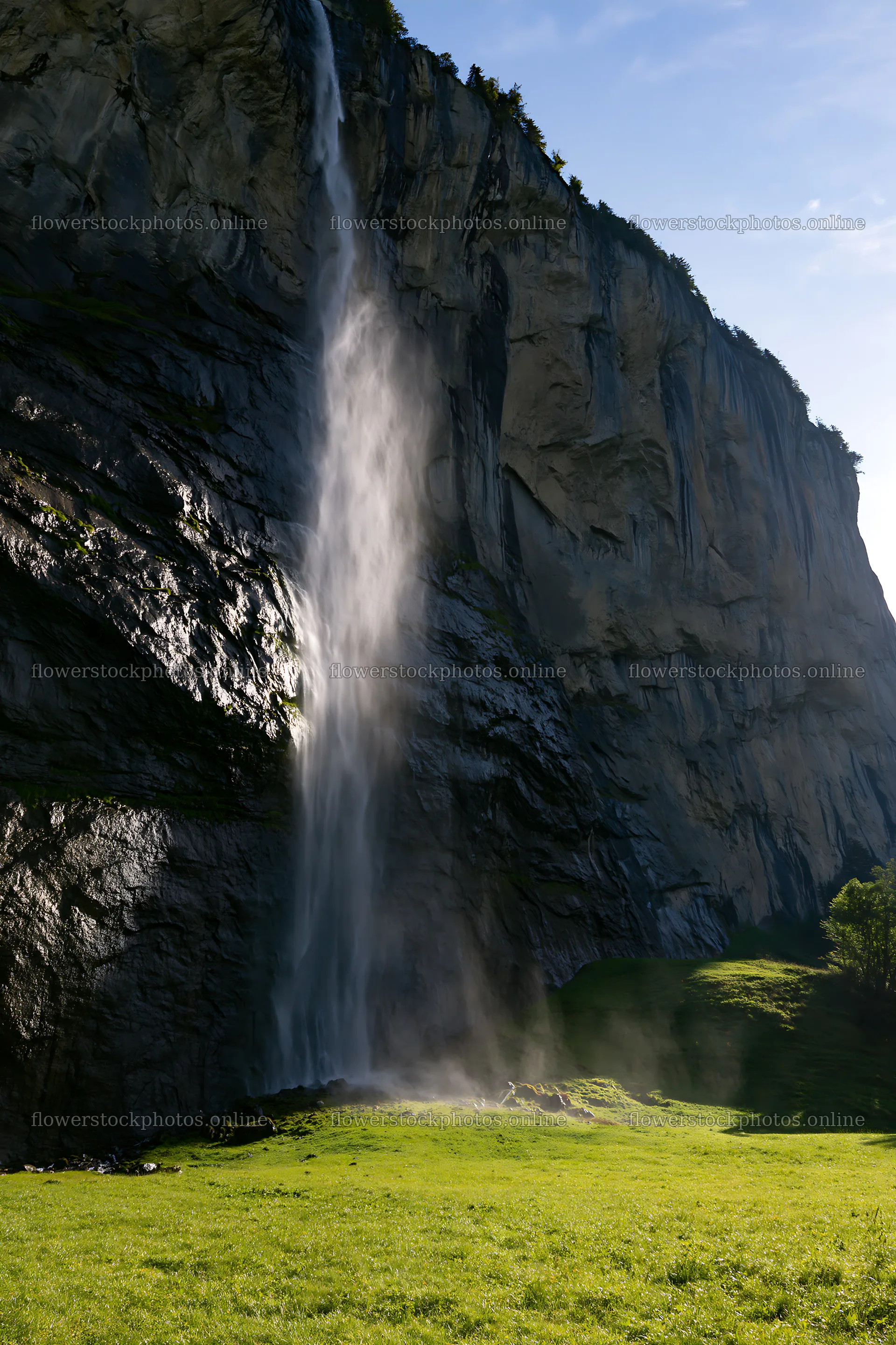 Lauterbrunnen Valley waterfall with light rays in the meadow – flower stock photos 6480x9722