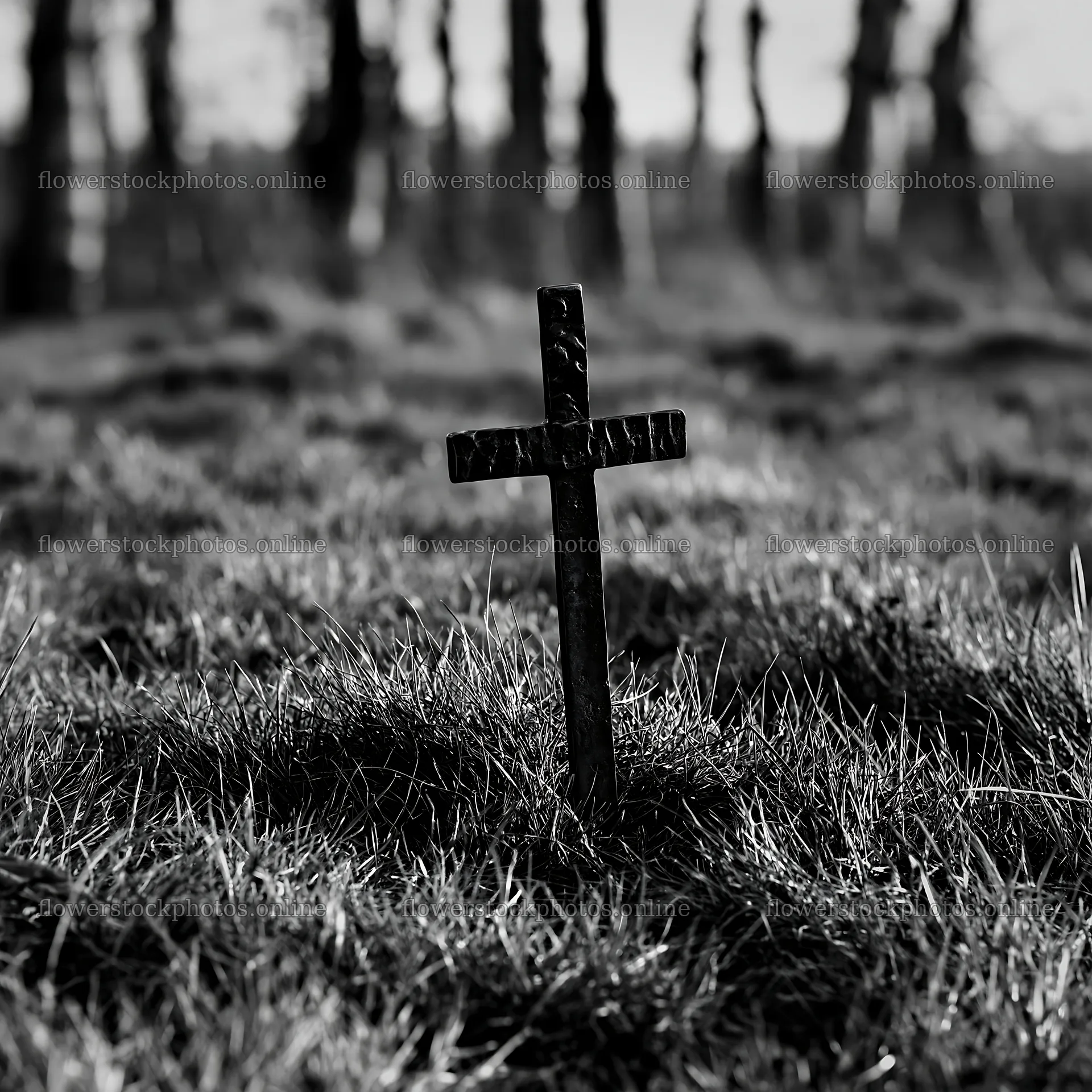 Bronze Christian cross in meadow during Christmas season – flower stock photos 7938x7938