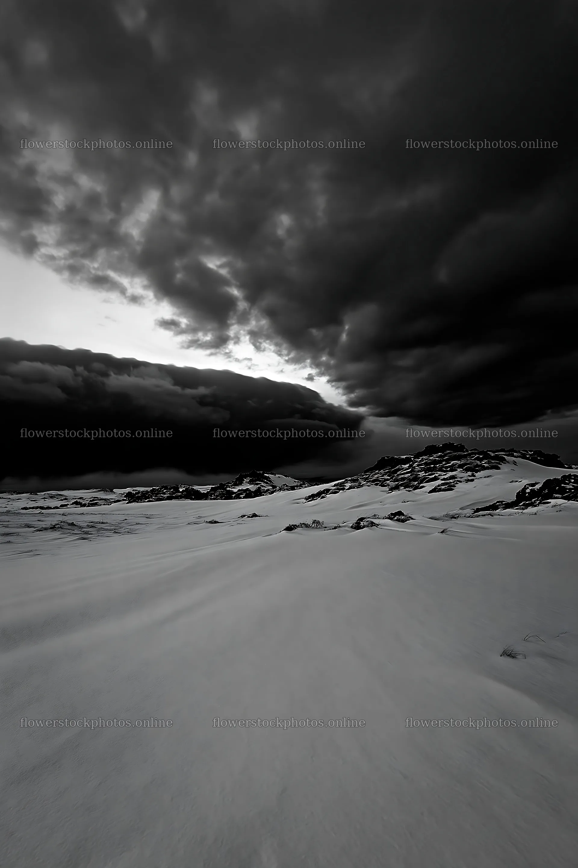 Snowbound meadow under dark clouds at dusk – flower stock photos 6480x9722