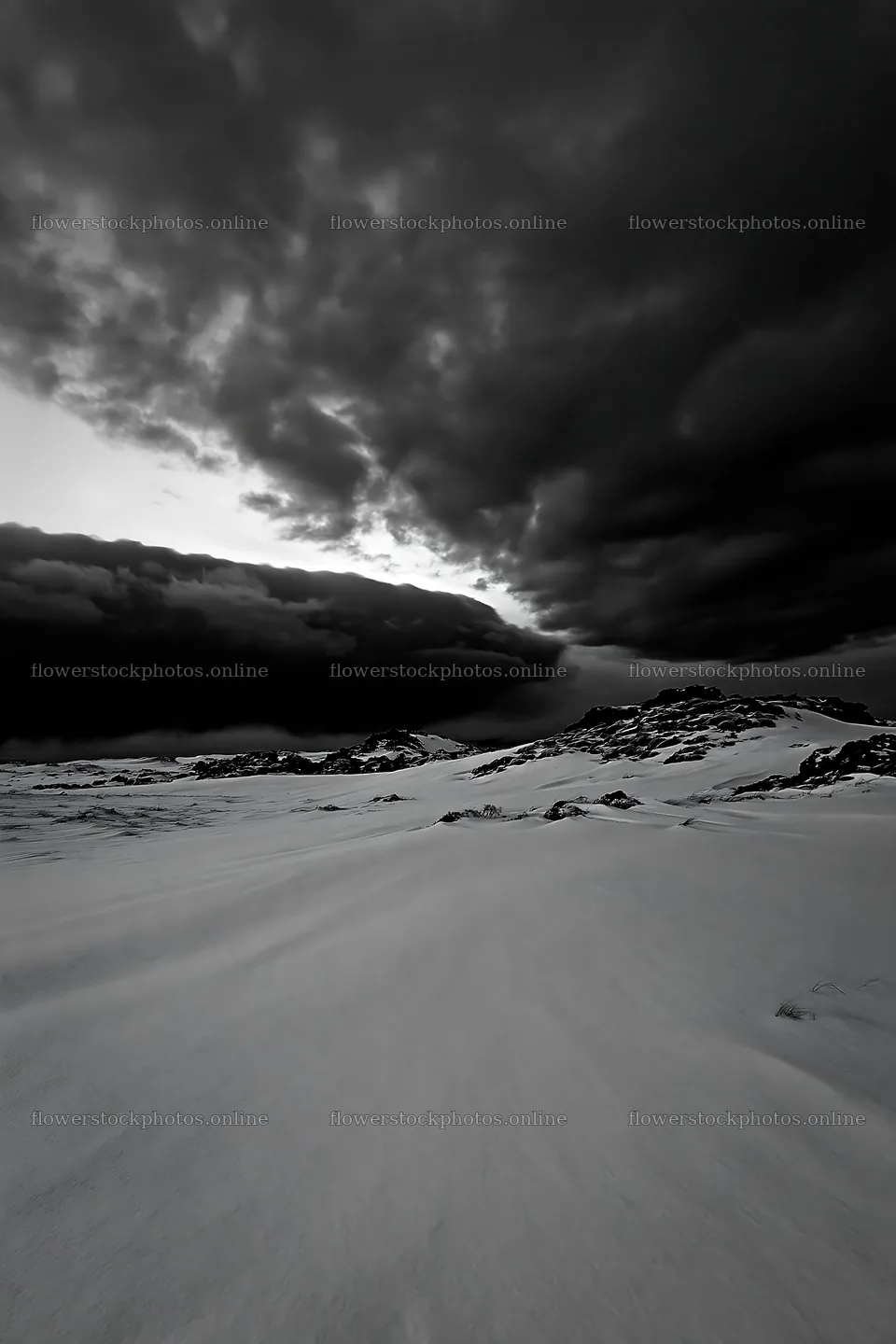 Snowbound meadow under dark clouds at dusk – flower stock photos 6480x9722