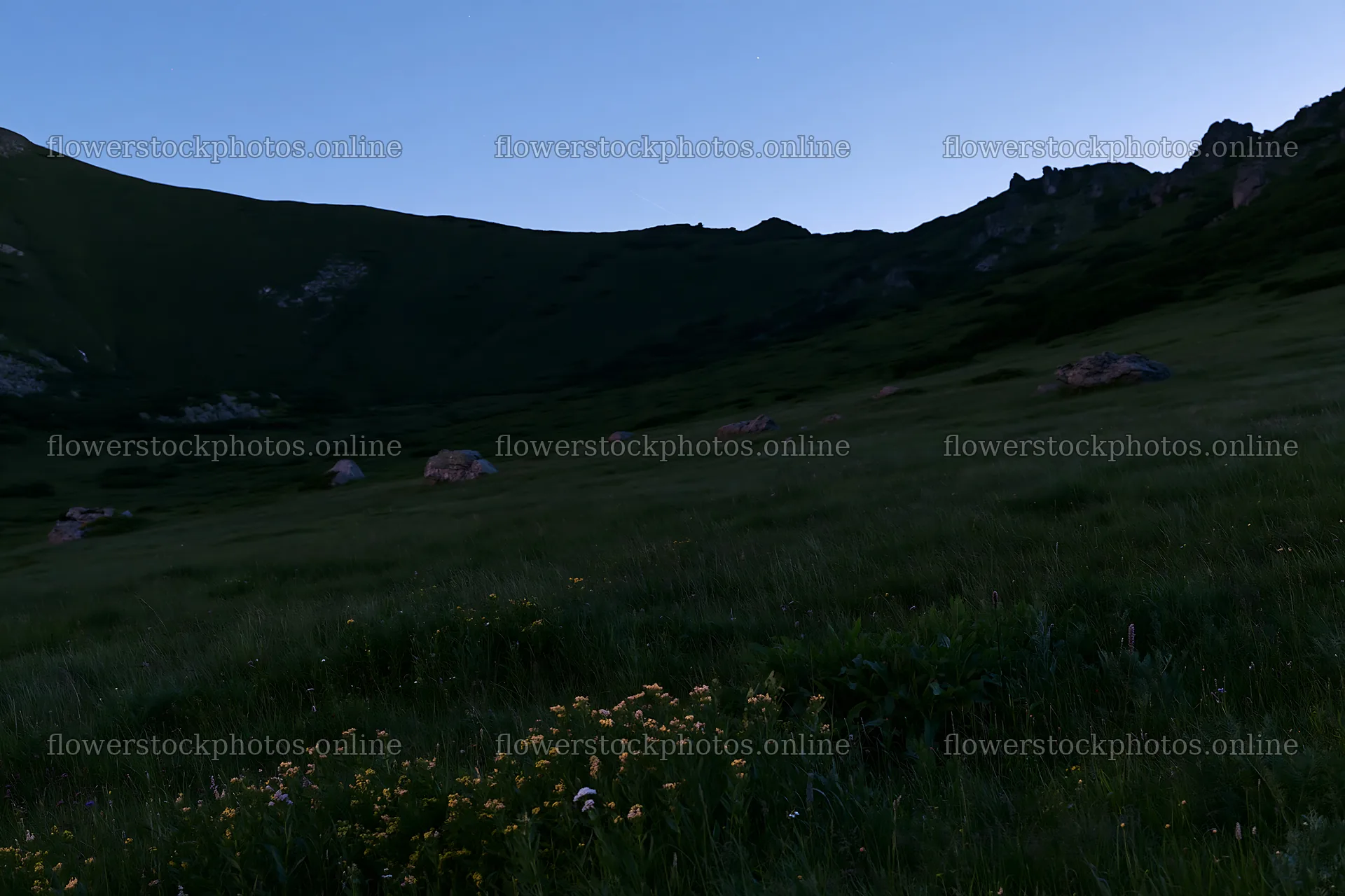 Dark sky over a meadow with rocks and flowers near mountains – flower stock photos 9722x6480
