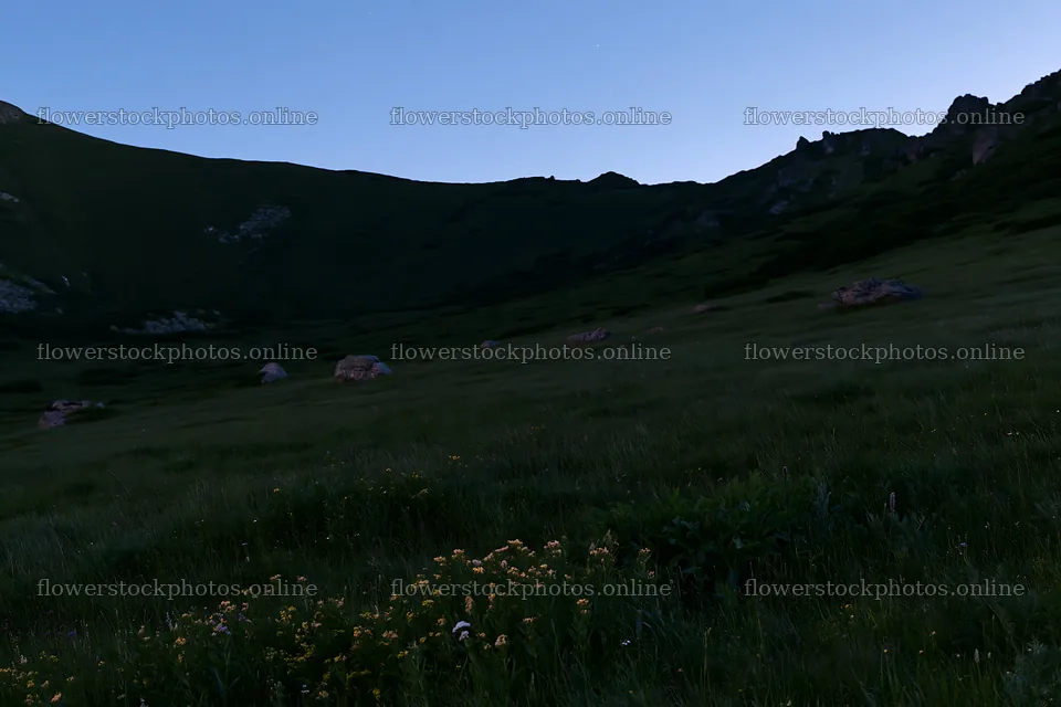Dark sky over a meadow with rocks and flowers near mountains – flower stock photos 9722x6480
