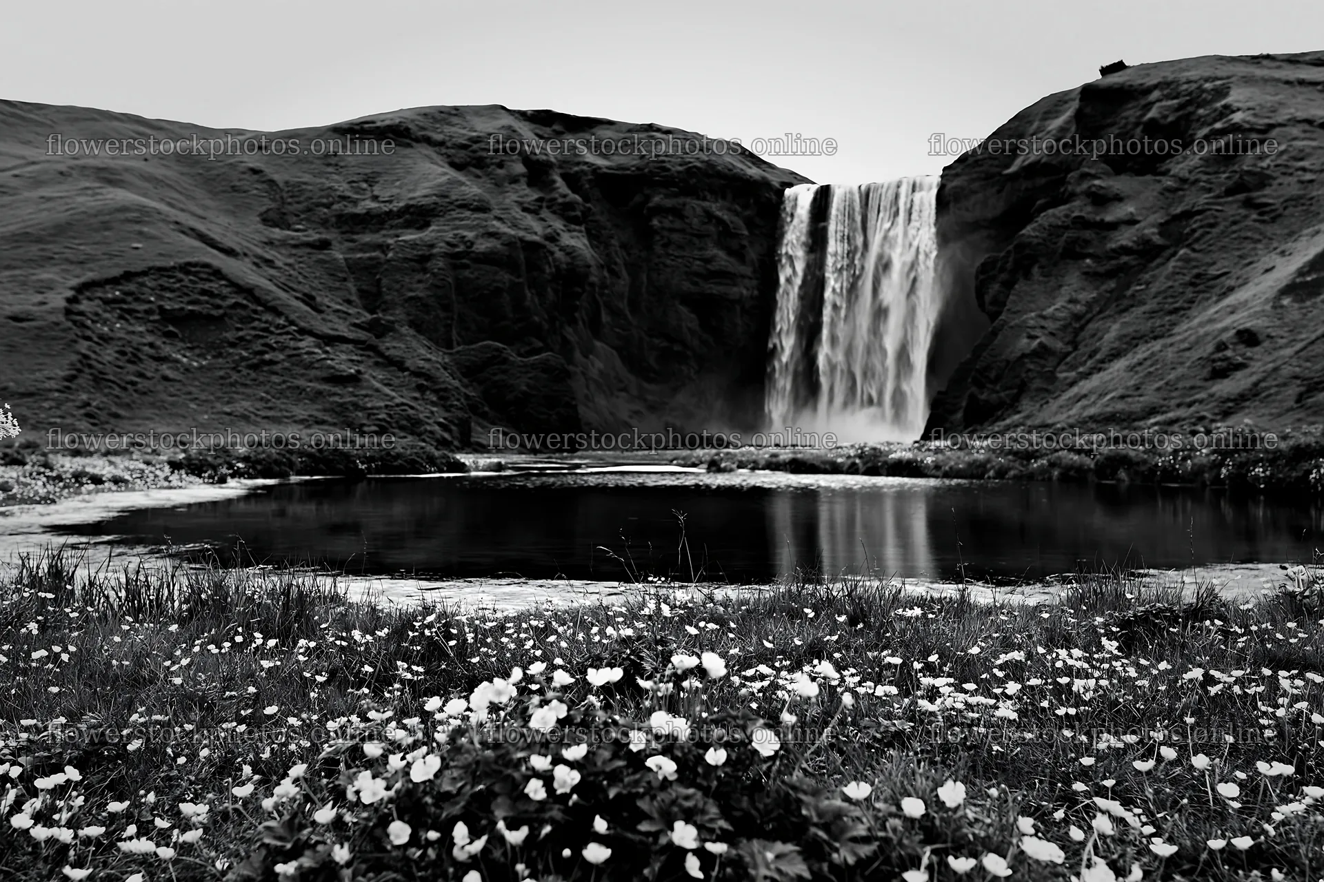 Flower meadow with waterfall reflection at dusk – flower stock photos 9722x6480