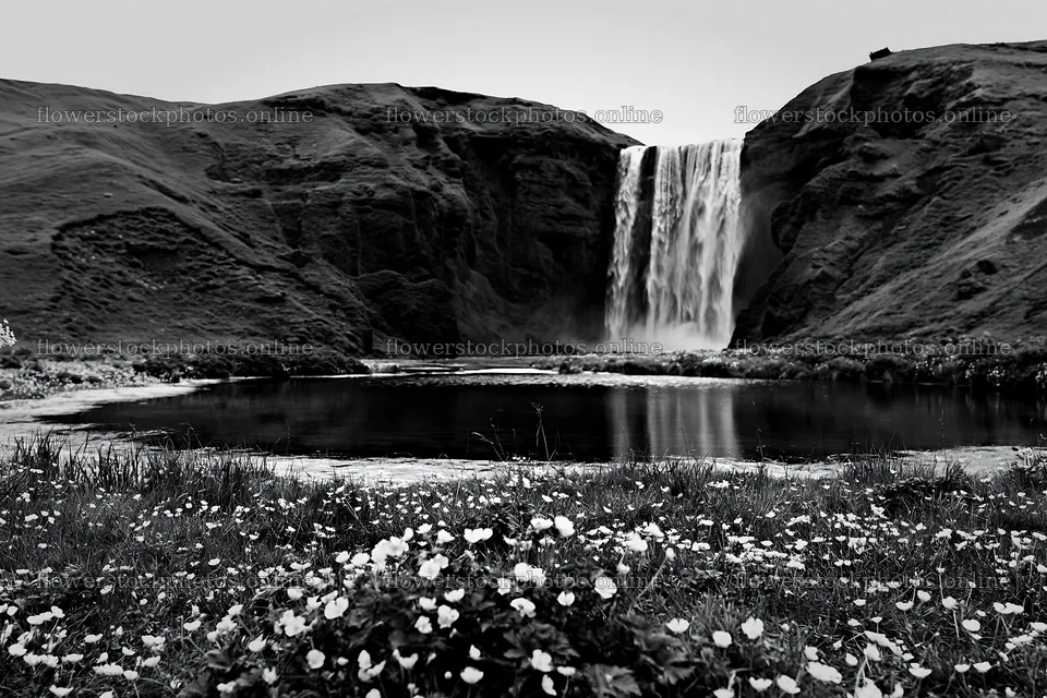 Flower meadow with waterfall reflection at dusk – flower stock photos 9722x6480
