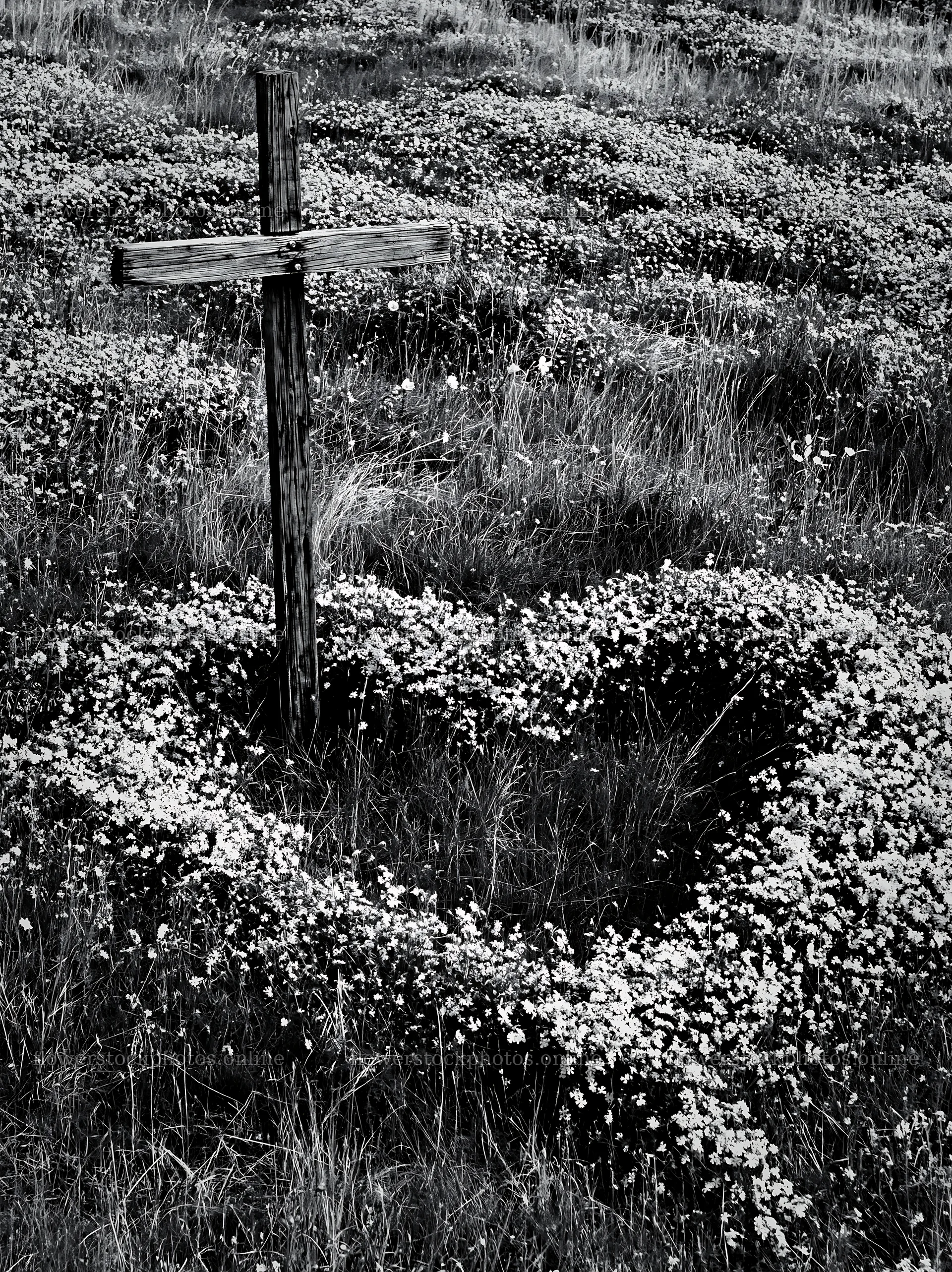 Wooden Christian cross in a Christmas meadow with flowers – flower stock photos 6866x9174