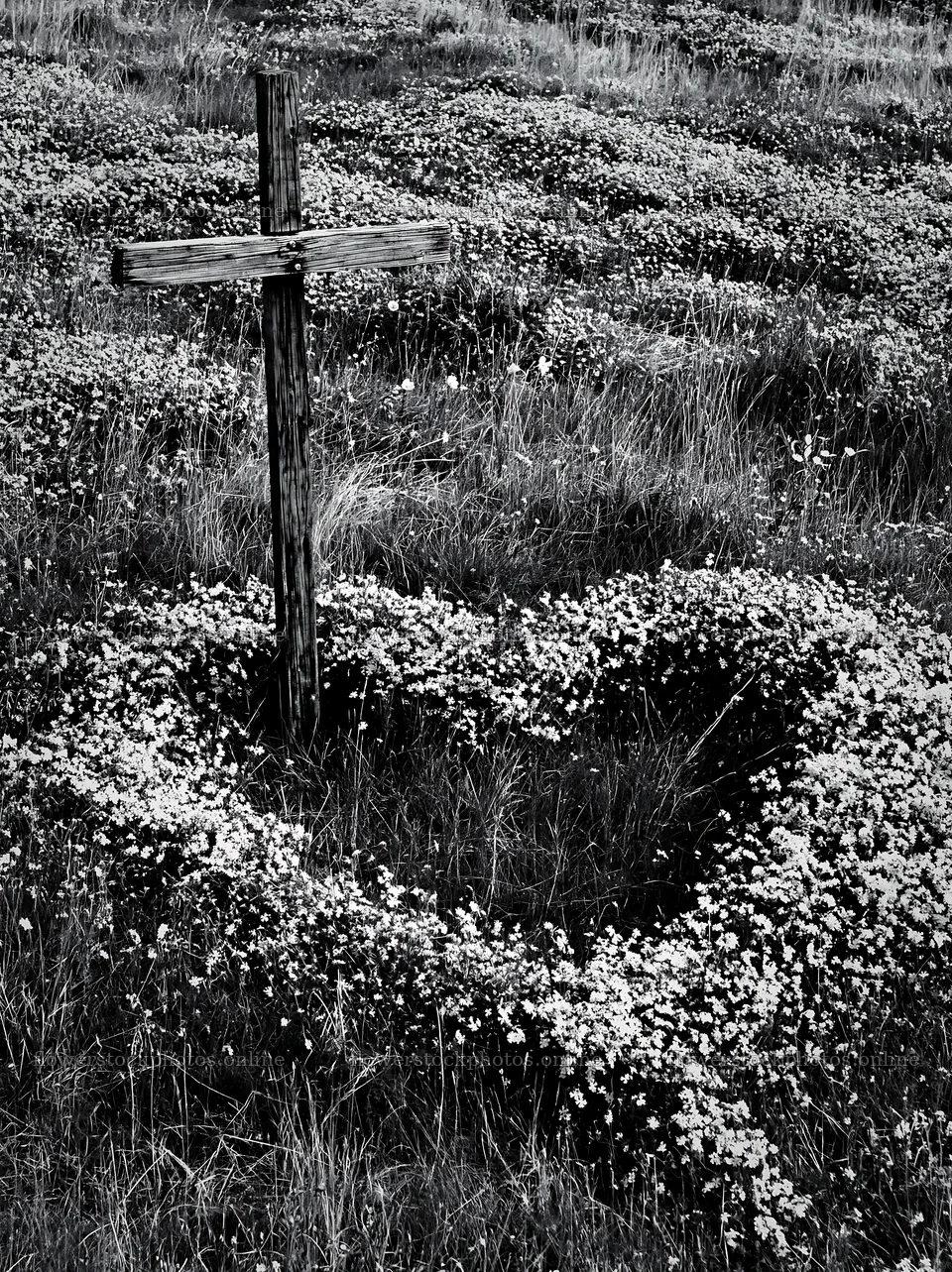 Wooden Christian cross in a Christmas meadow with flowers – flower stock photos 6866x9174