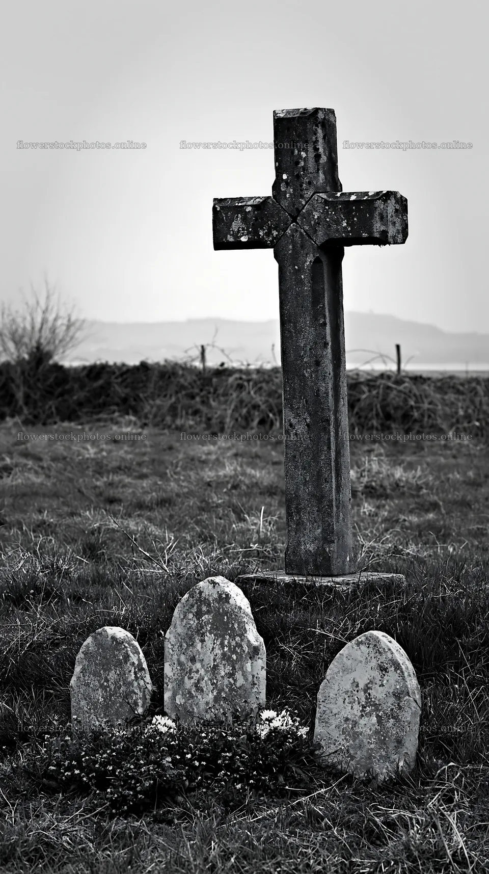 Rustic Christian cross in winter meadow with gravestones – flower stock photos 5938x10608