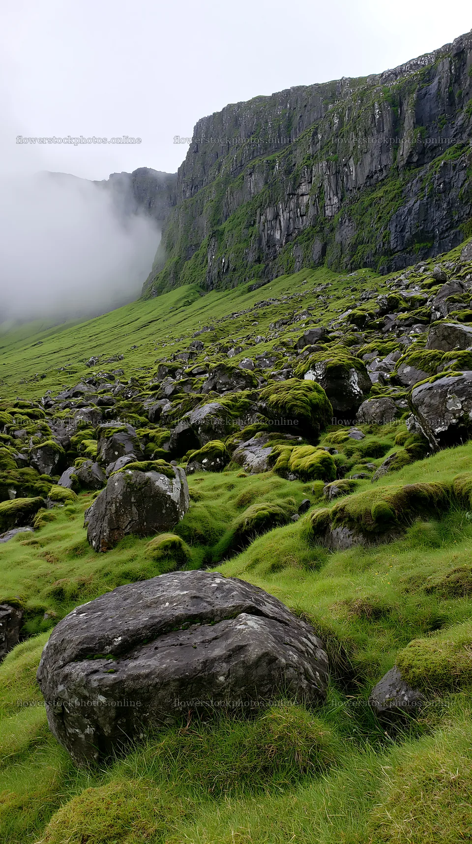 Mossy boulder meadow with rocky cliff and fog – flower stock photos 5938x10608
