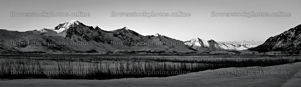 Lofoten coastal meadow winter snow landscape at sunset – flower stock photos 14762x4268