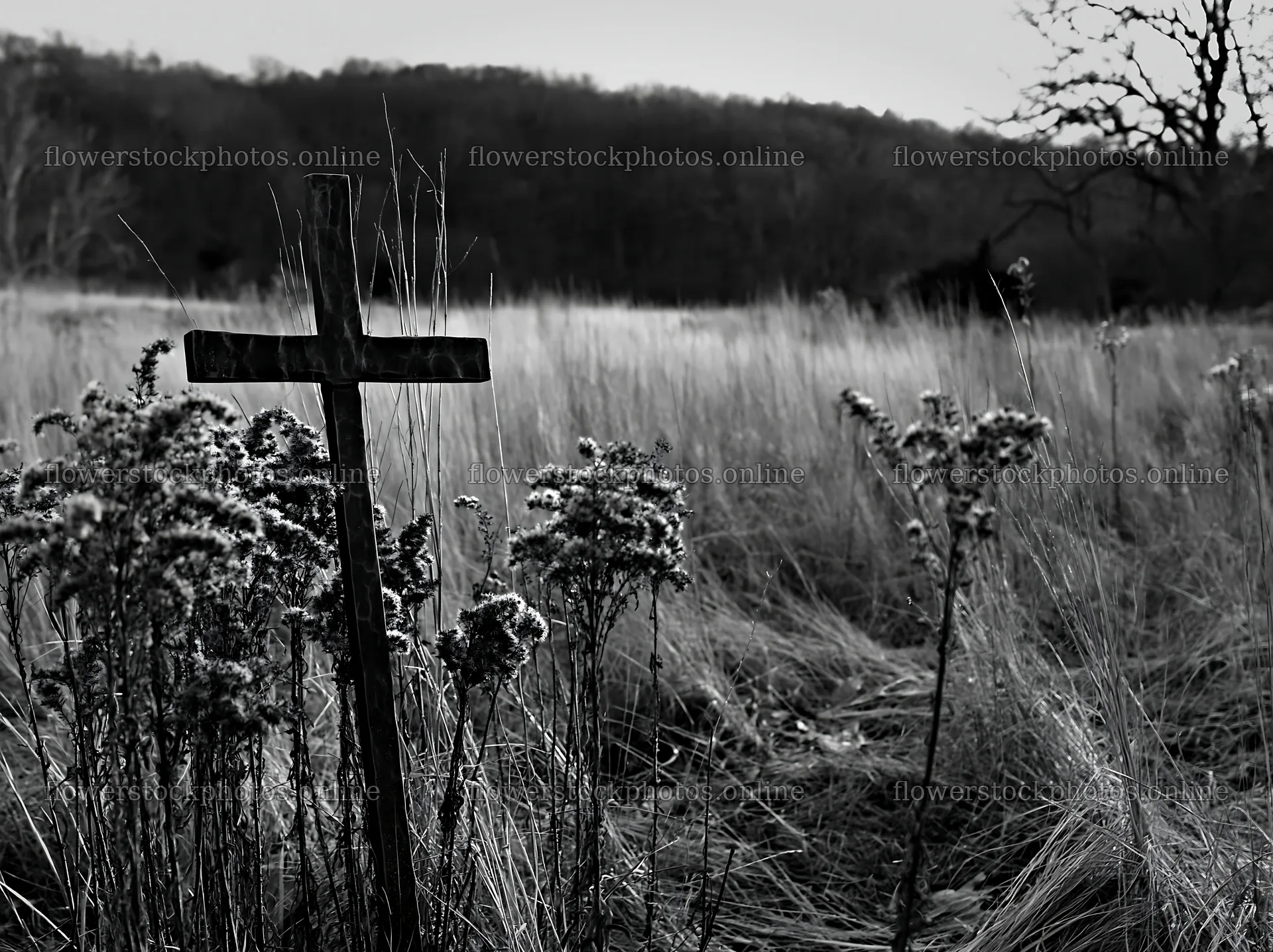 Bronze Christian cross in meadow during Christmas season – flower stock photos 9174x6866