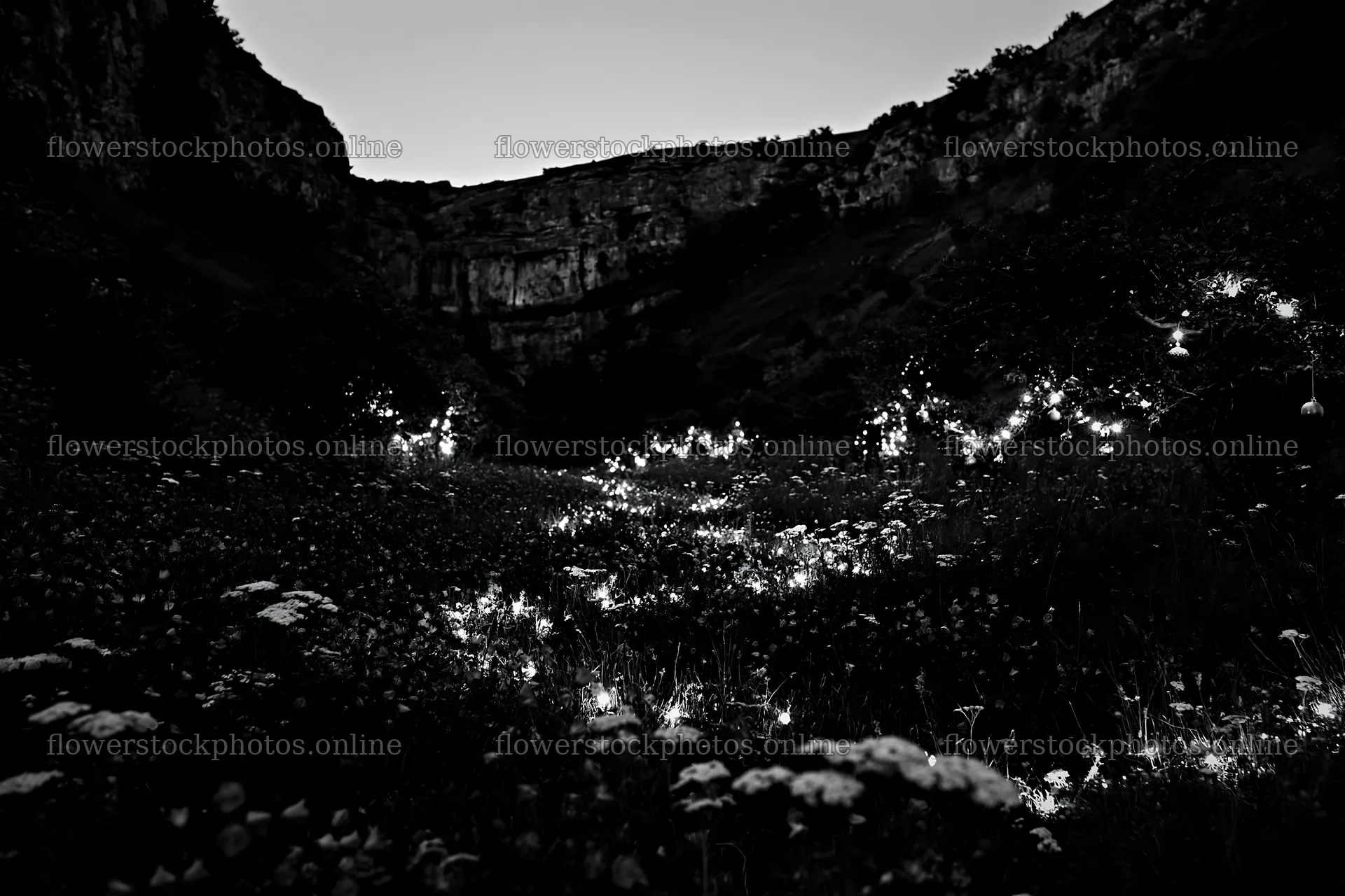 Christmas lights in meadow at dusk by cave – flower stock photos 9722x6480